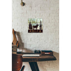 Epic Art 'Simple Living Elk' by Michael Mullan, Acrylic Glass Wall Art,12 x 12