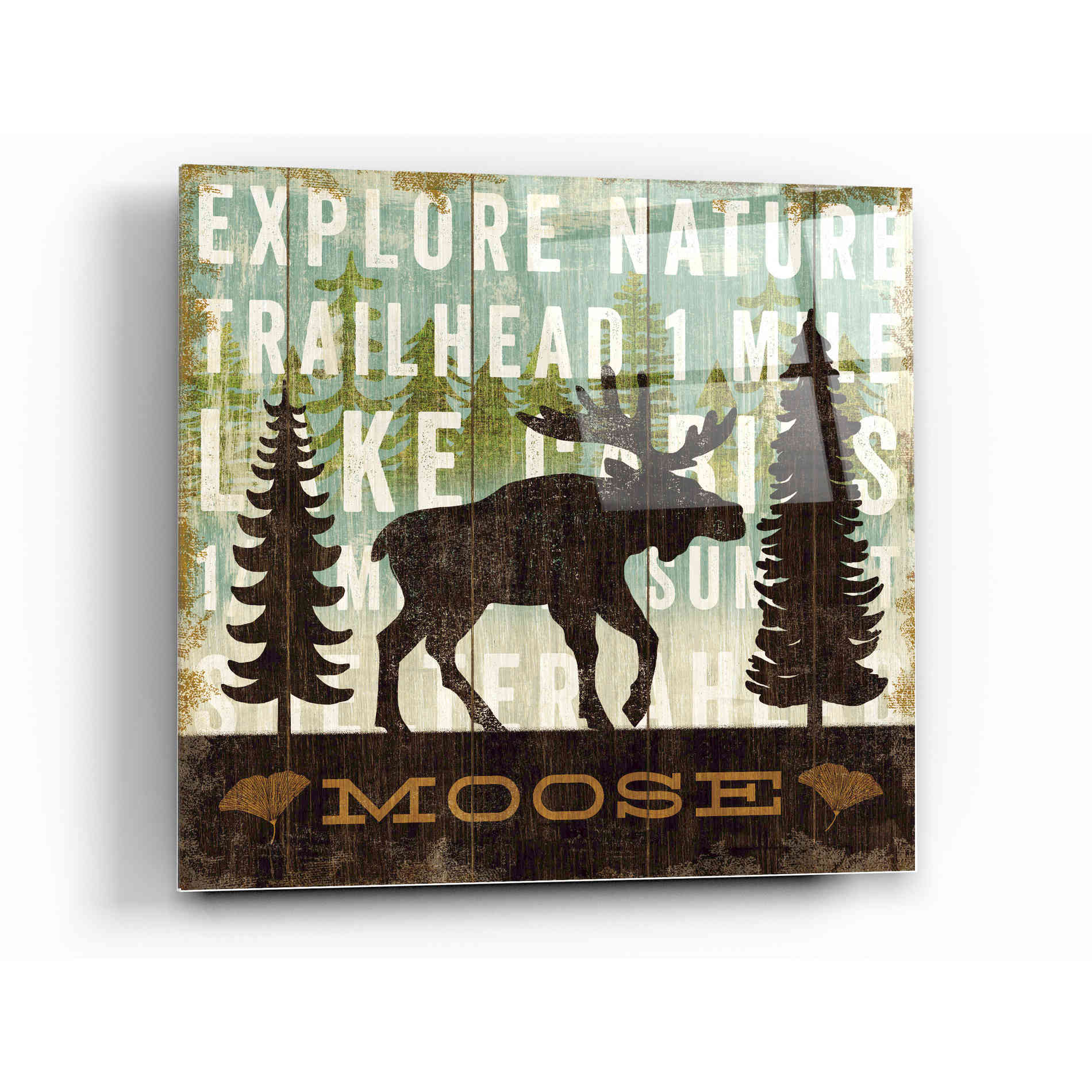 Epic Art 'Simple Living Moose' by Michael Mullan, Acrylic Glass Wall Art,12 x 12