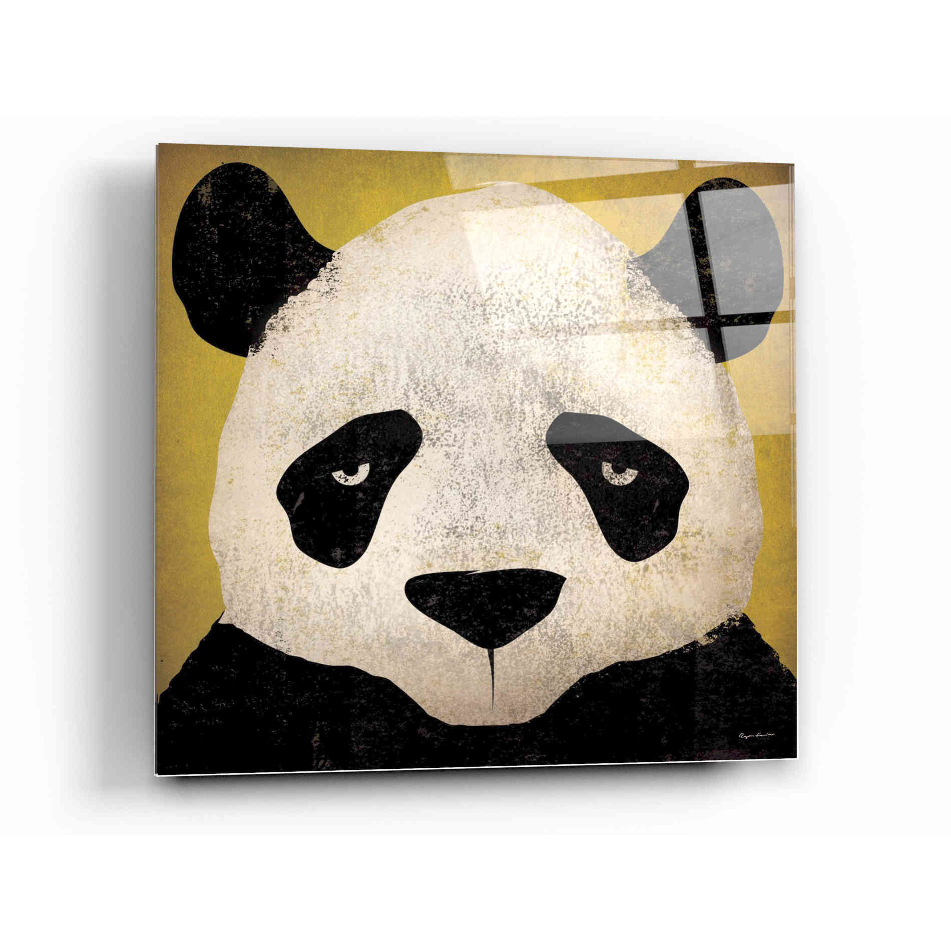 Epic Art 'Panda' by Ryan Fowler, Acrylic Glass Wall Art,12x12