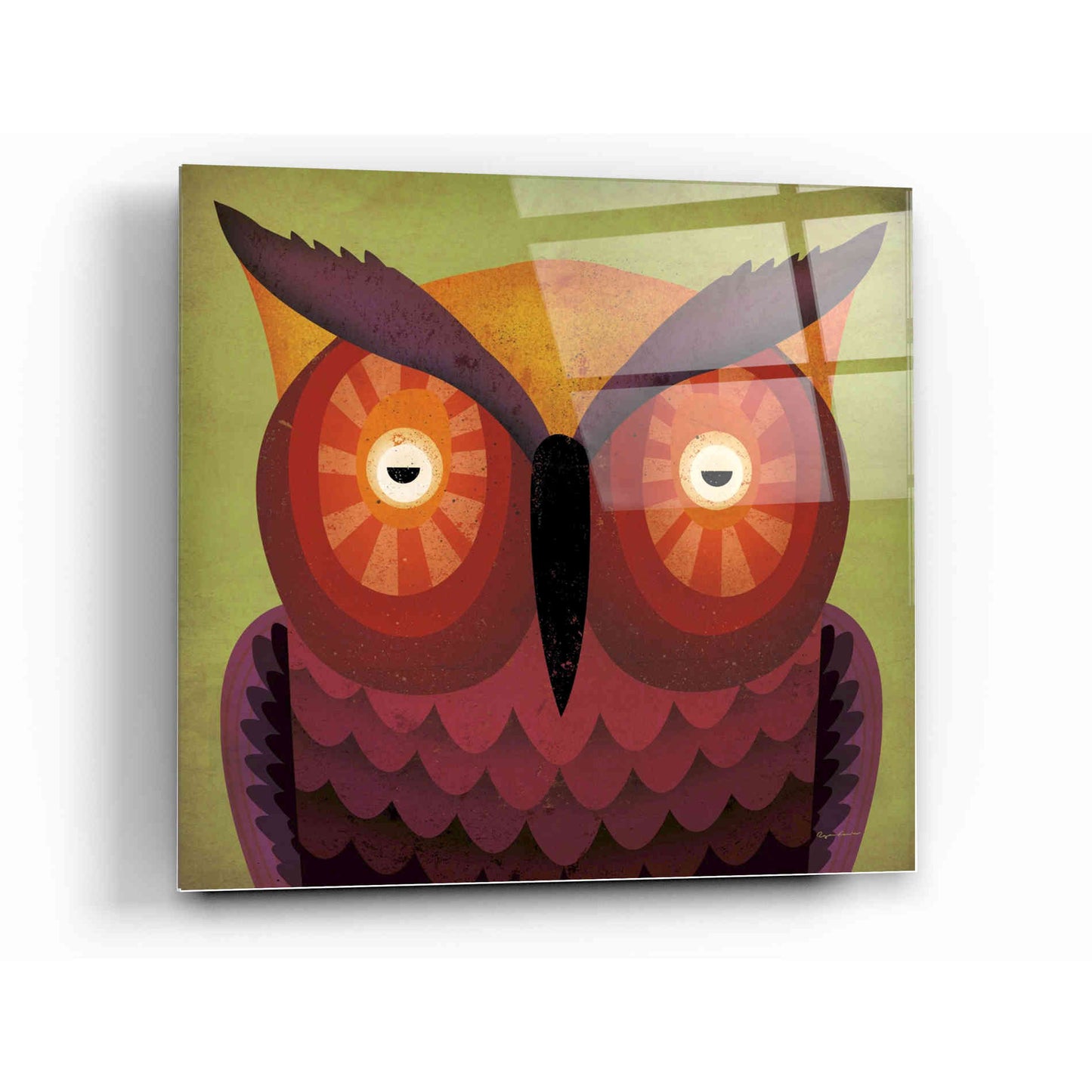 Epic Art 'Owl Wow' by Ryan Fowler, Acrylic Glass Wall Art,12x12
