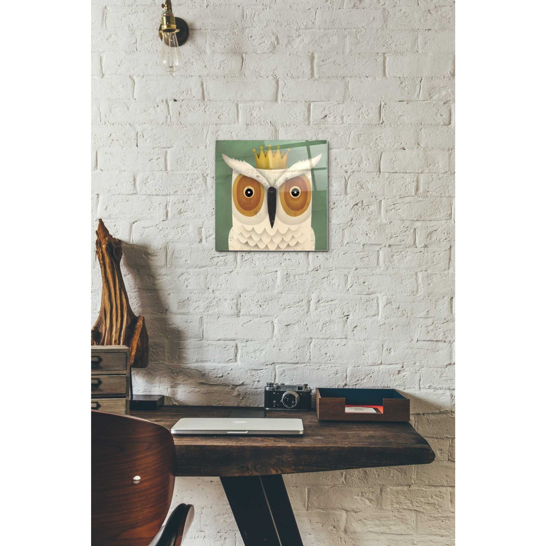 Epic Art 'White Owl with Crown' by Ryan Fowler, Acrylic Glass Wall Art,12x12