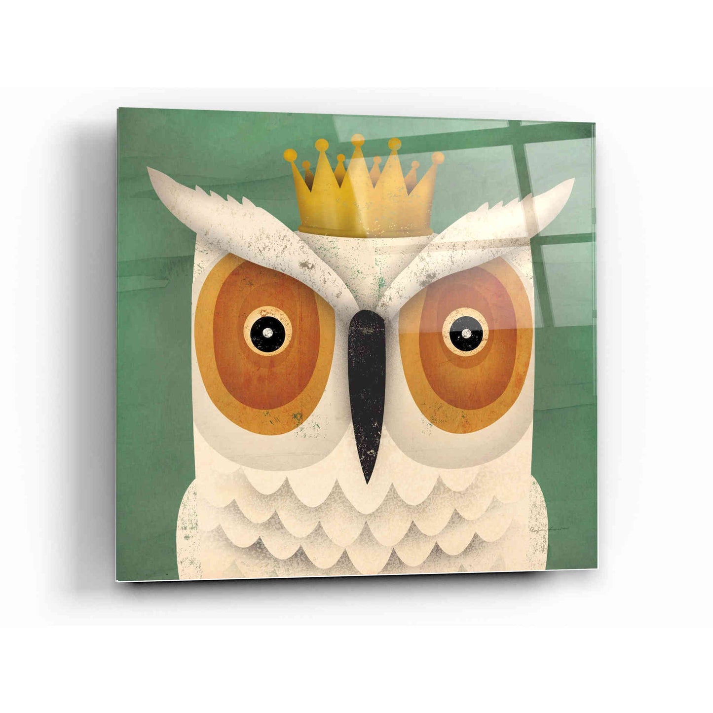 Epic Art 'White Owl with Crown' by Ryan Fowler, Acrylic Glass Wall Art,12x12