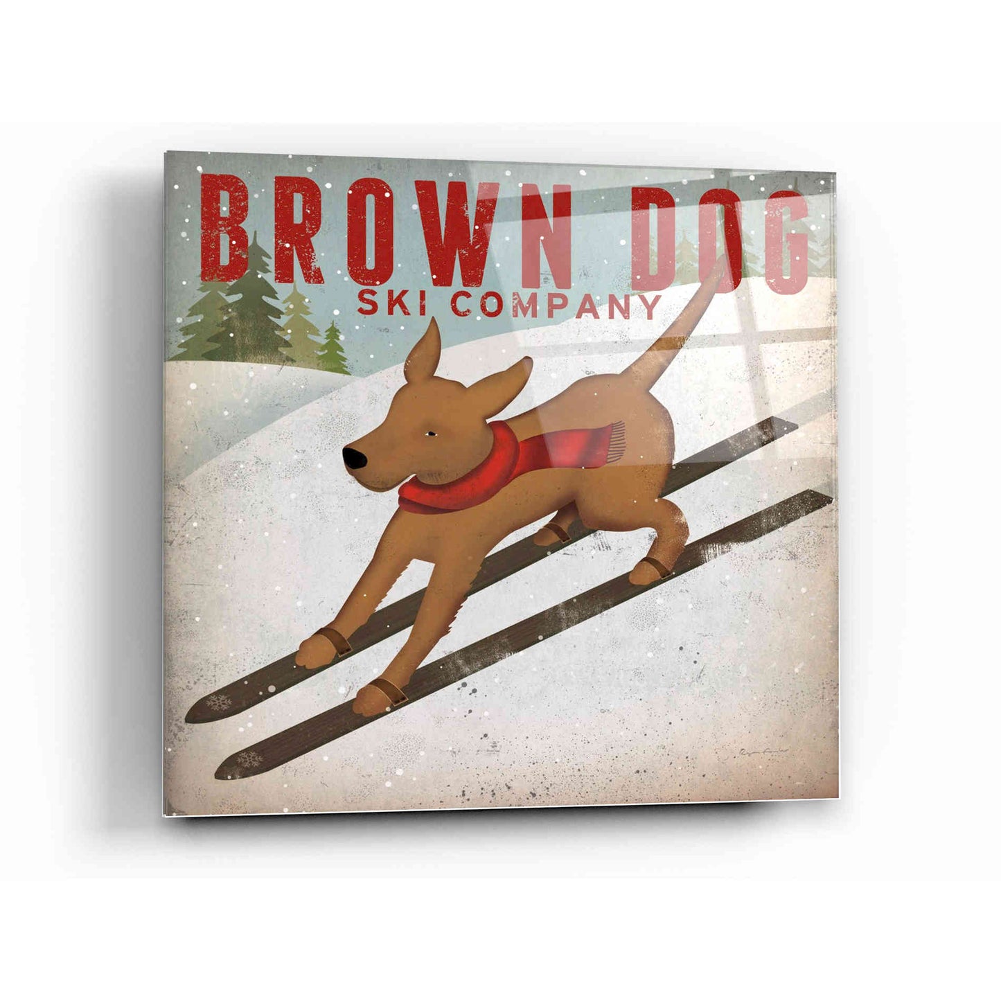 Epic Art 'Brown Dog Ski Co' by Ryan Fowler, Acrylic Glass Wall Art,12x12