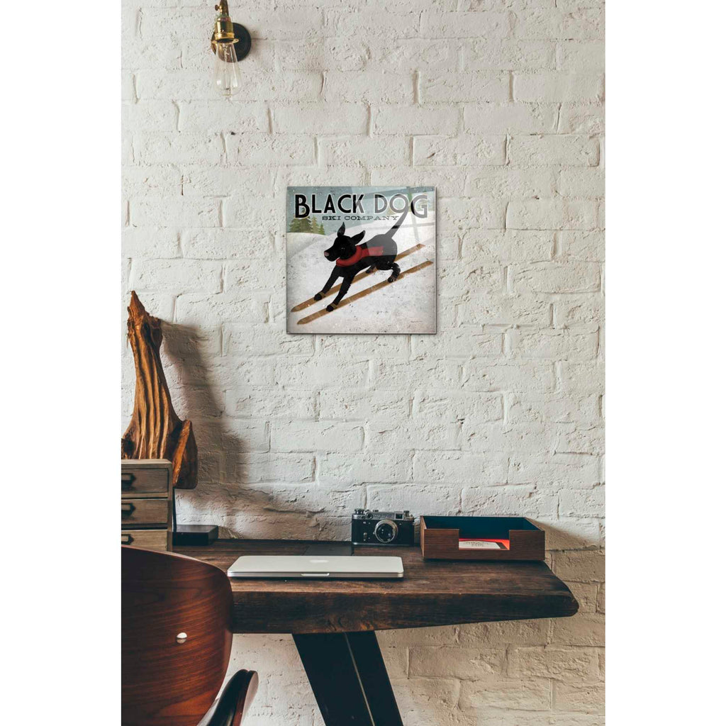 Epic Art 'Black Dog Ski' by Ryan Fowler, Acrylic Glass Wall Art,12x12