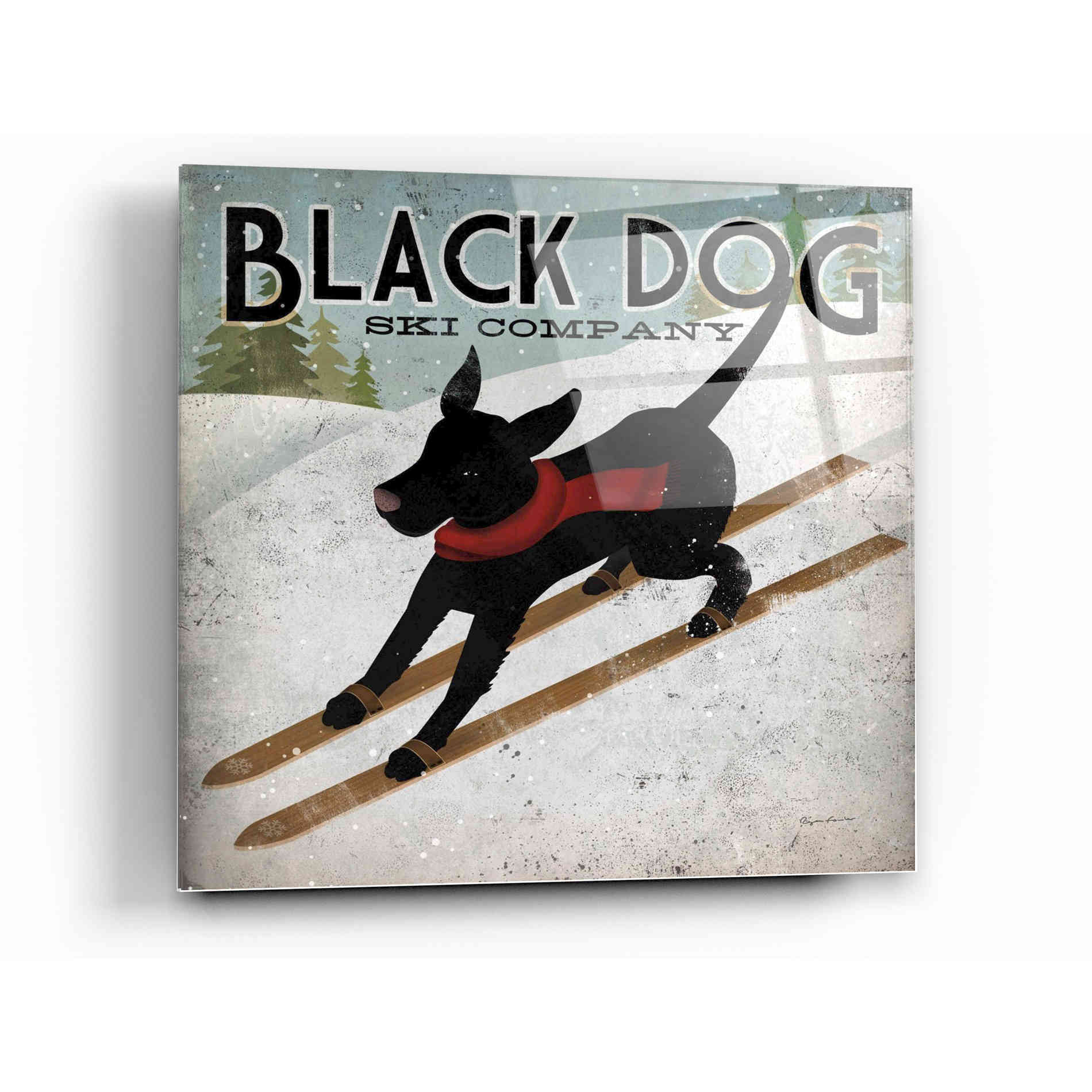 Epic Art 'Black Dog Ski' by Ryan Fowler, Acrylic Glass Wall Art,12x12