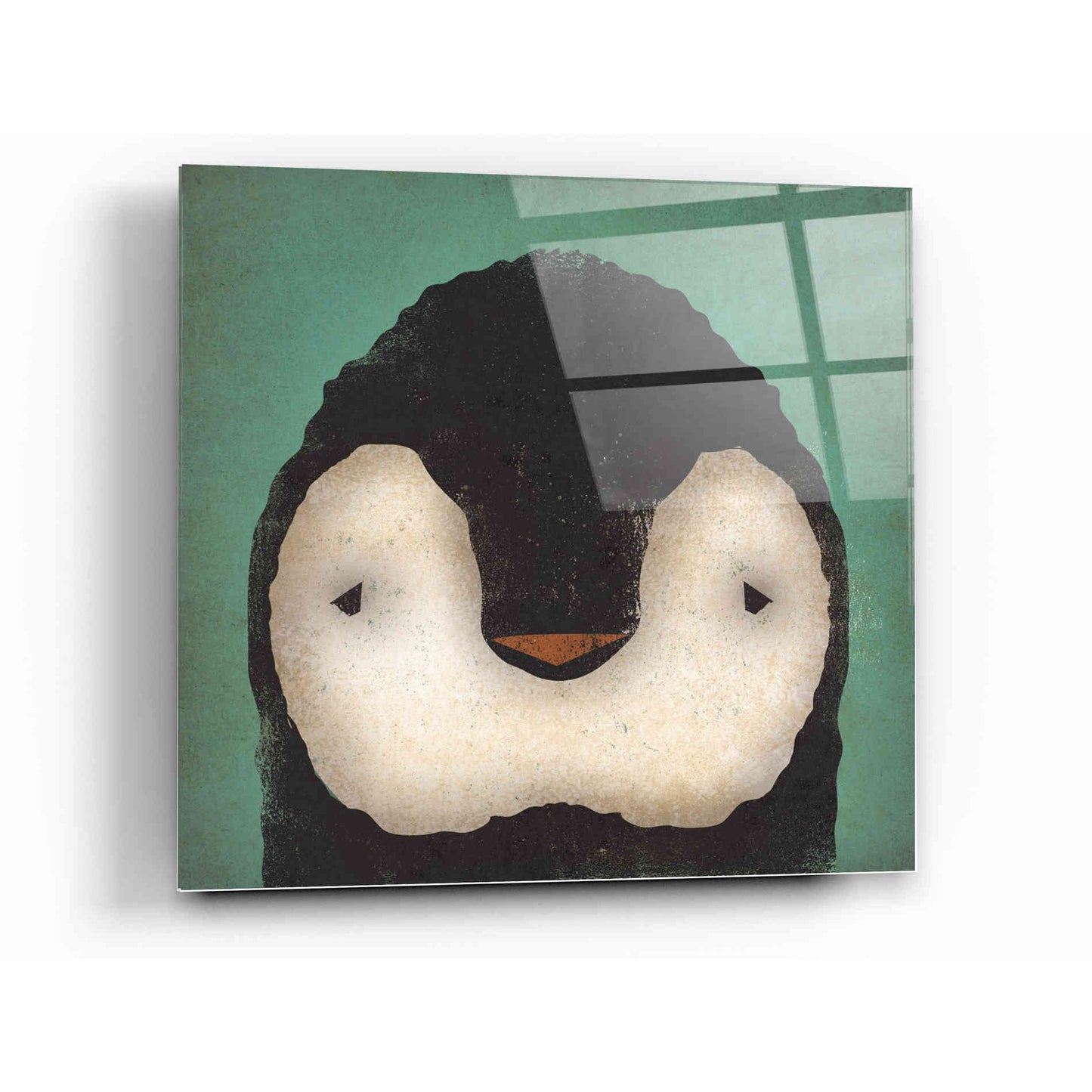 Epic Art 'Baby Penguin' by Ryan Fowler, Acrylic Glass Wall Art,12x12