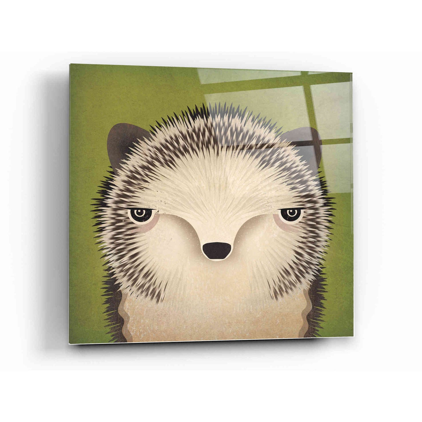 Epic Art 'Baby Hedgehog' by Ryan Fowler, Acrylic Glass Wall Art,12x12