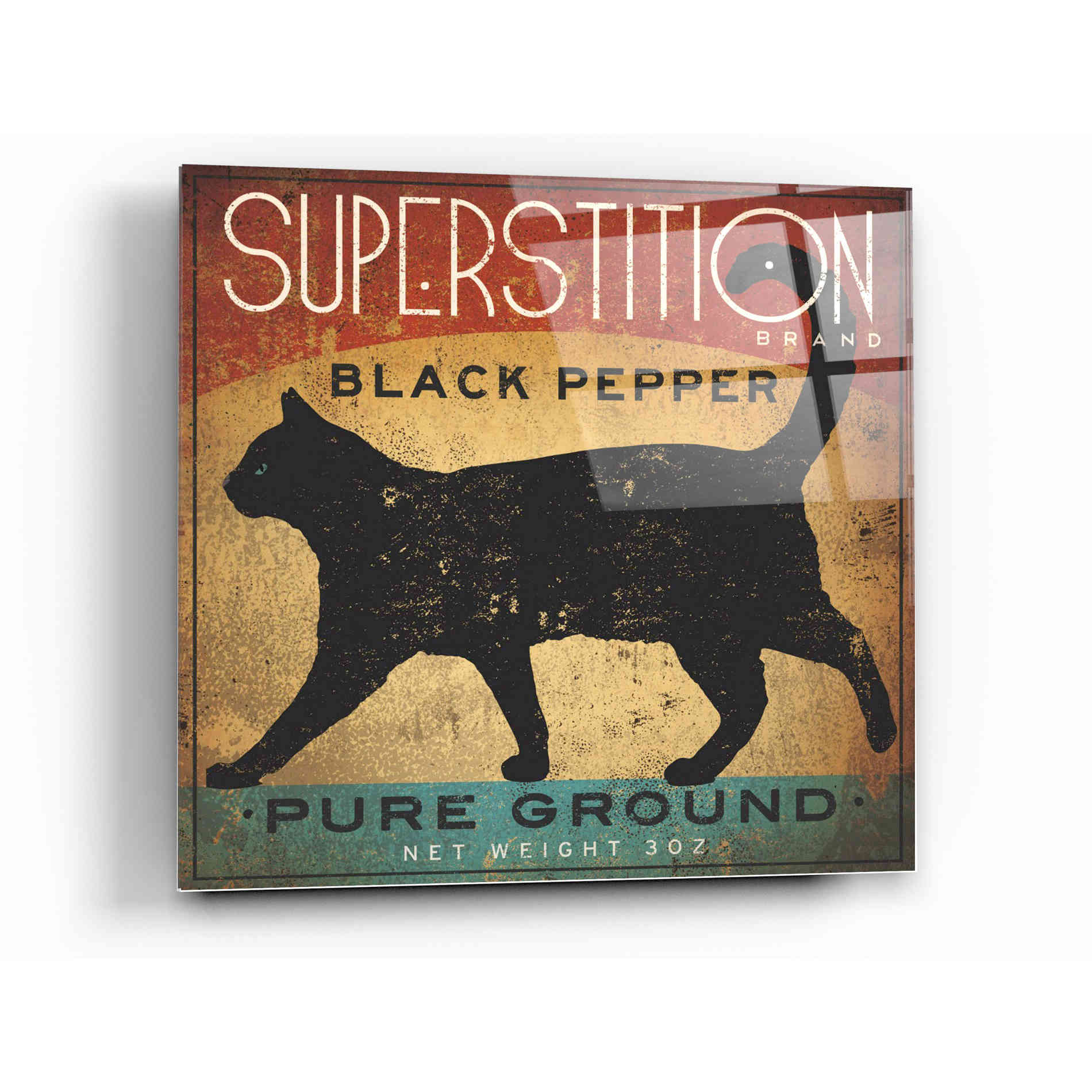 Epic Art 'Superstition Black Pepper Cat' by Ryan Fowler, Acrylic Glass Wall Art,12x12