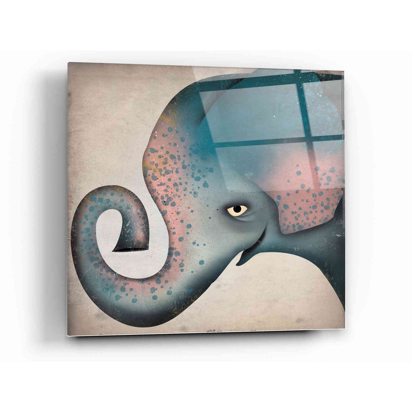 Epic Art 'Elephant Wow II' by Ryan Fowler, Acrylic Glass Wall Art,12x12