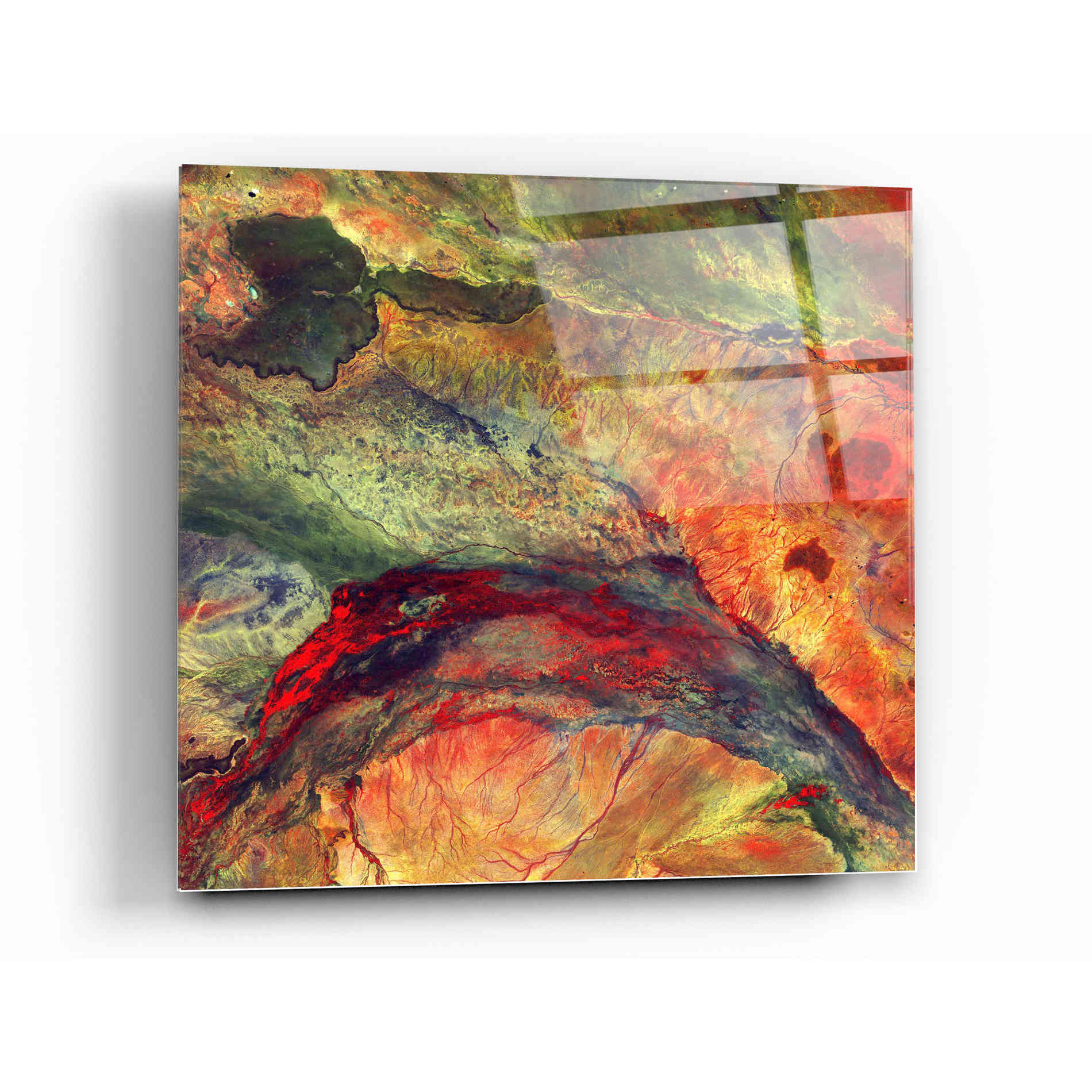 Epic Art 'Earth As Art: The Lorian Swamp' Acrylic Glass Wall Art,12x12