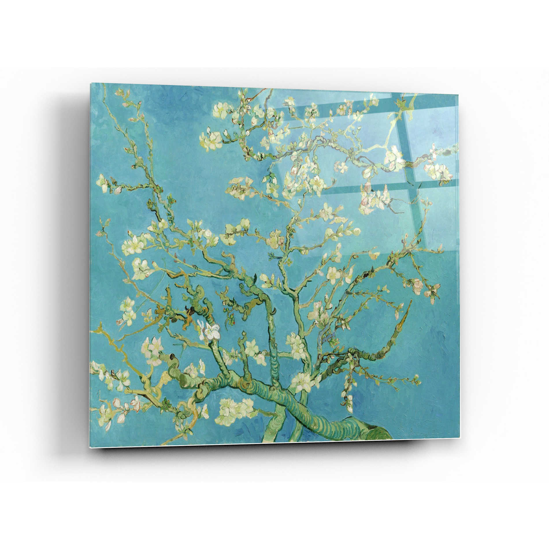 Epic Art 'Almond Blossoms' by Vincent Van Gogh, Acrylic Glass Wall Art,12x12