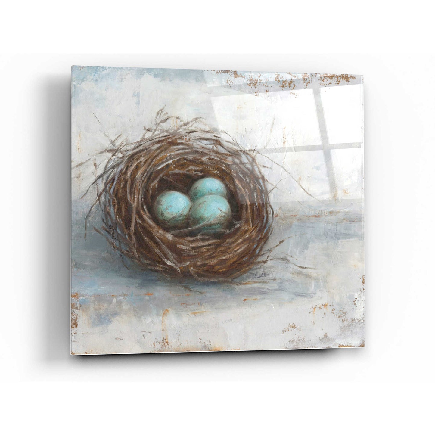 Epic Art 'Rustic Bird Nest I' by Ethan Harper Acrylic Glass Wall Art,12x12