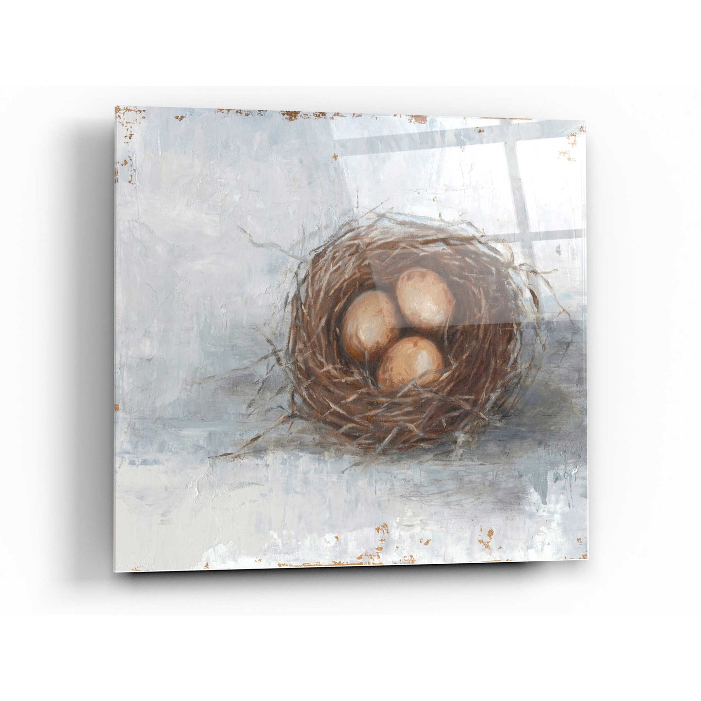 Epic Art 'Rustic Bird Nest II' by Ethan Harper Acrylic Glass Wall Art,12x12