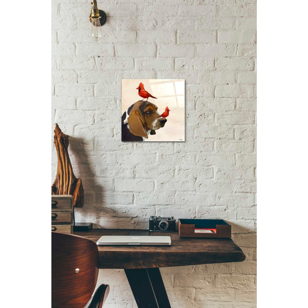 Epic Art 'Basset Hound and Birds' by Fab Funky Acrylic Glass Wall Art,12x12