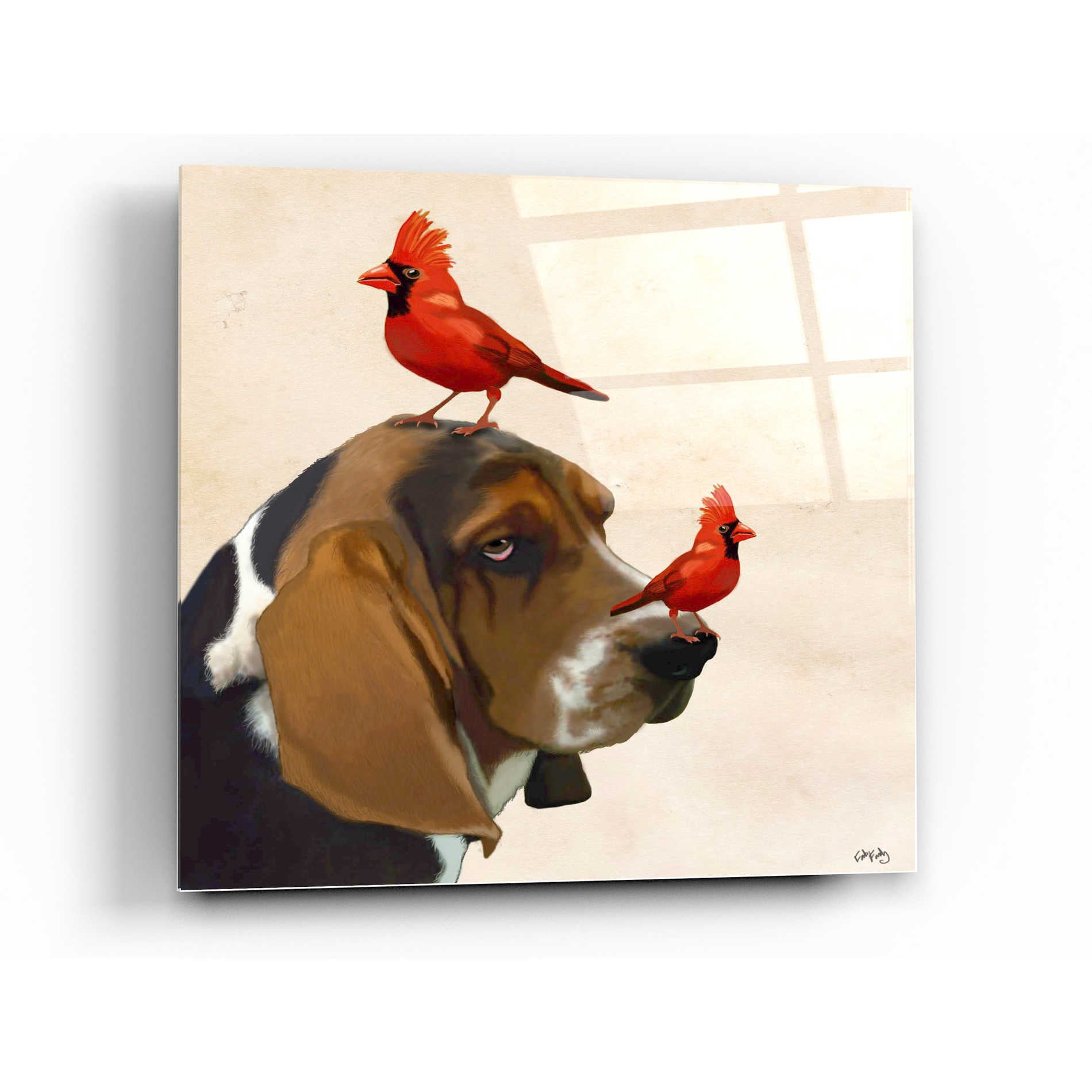 Epic Art 'Basset Hound and Birds' by Fab Funky Acrylic Glass Wall Art,12x12