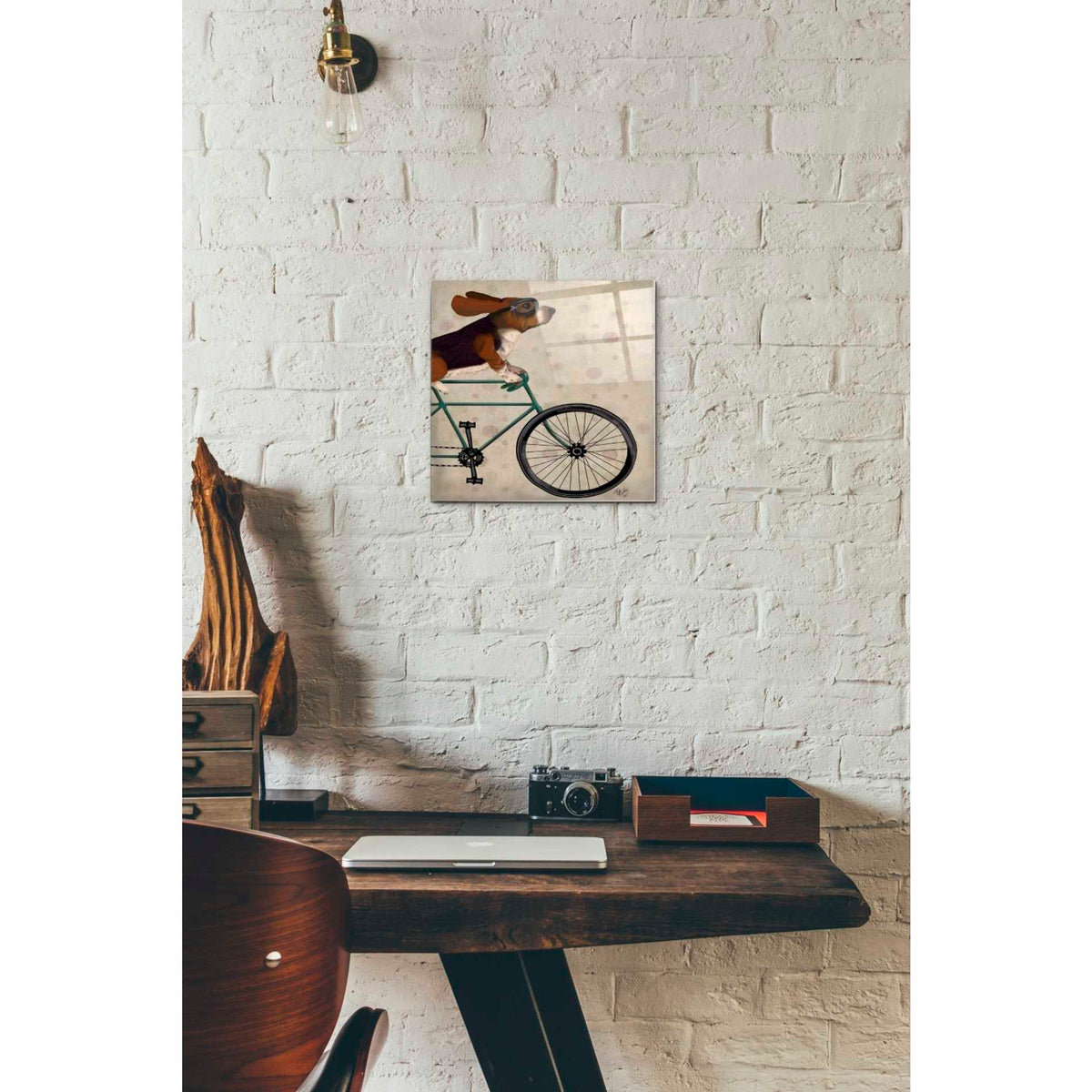 Epic Art 'Basset Hound on Bicycle' by Fab Funky Acrylic Glass Wall Art,12x12