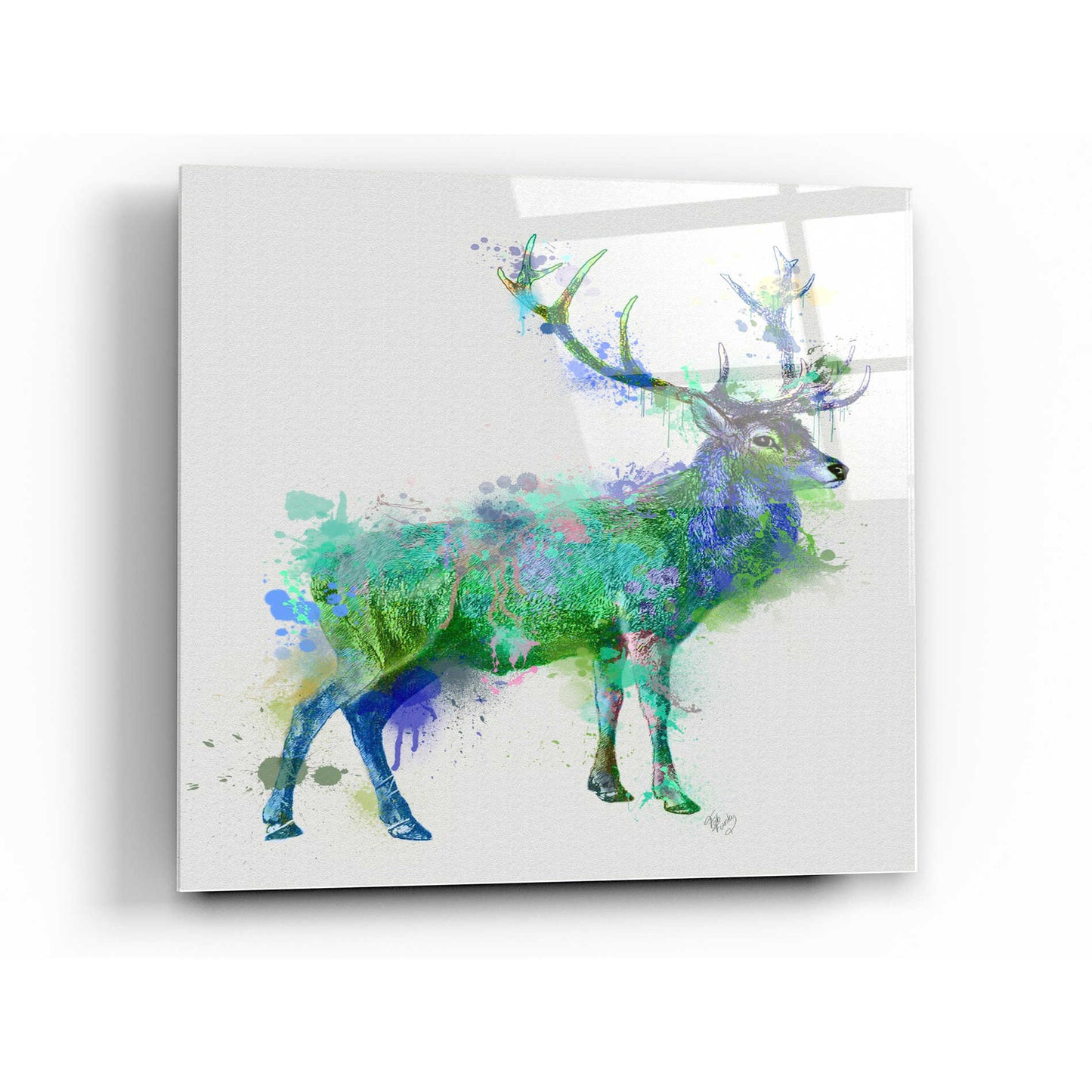 Epic Art 'Deer 1 Rainbow Splash Green Blue' by Fab Funky Acrylic Glass Wall Art,12x12