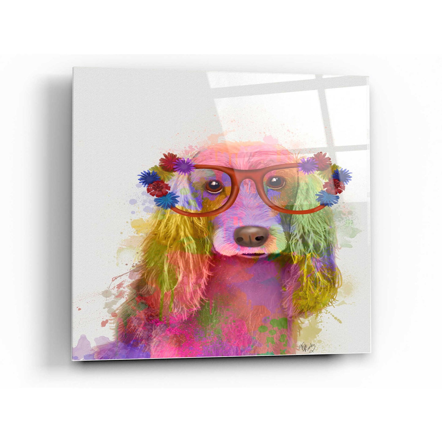 Epic Art 'Rainbow Splash Cocker Spaniel, Portrait' by Fab Funky Acrylic Glass Wall Art,12x12