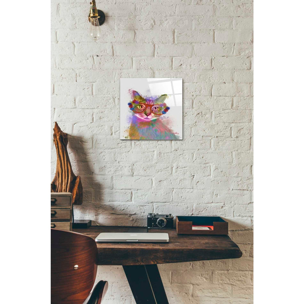 Epic Art 'Rainbow Splash Cat 1' by Fab Funky Acrylic Glass Wall Art,12x12