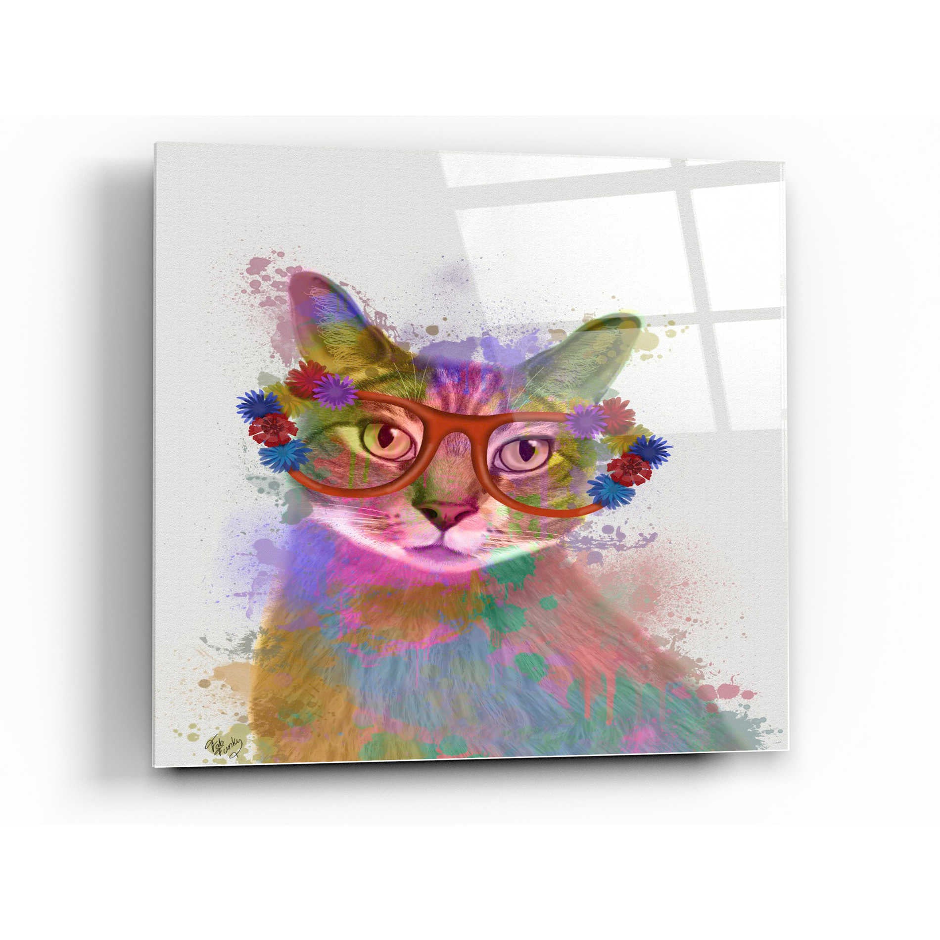 Epic Art 'Rainbow Splash Cat 1' by Fab Funky Acrylic Glass Wall Art,12x12