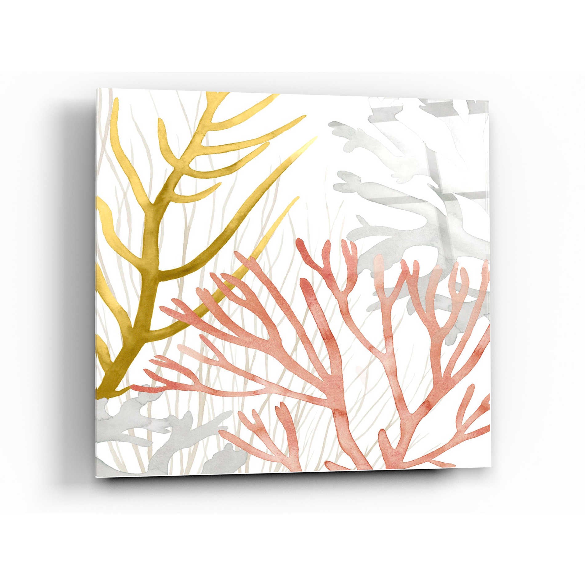 Epic Art 'Desert Coral II' by Grace Popp Acrylic Glass Wall Art,12x12