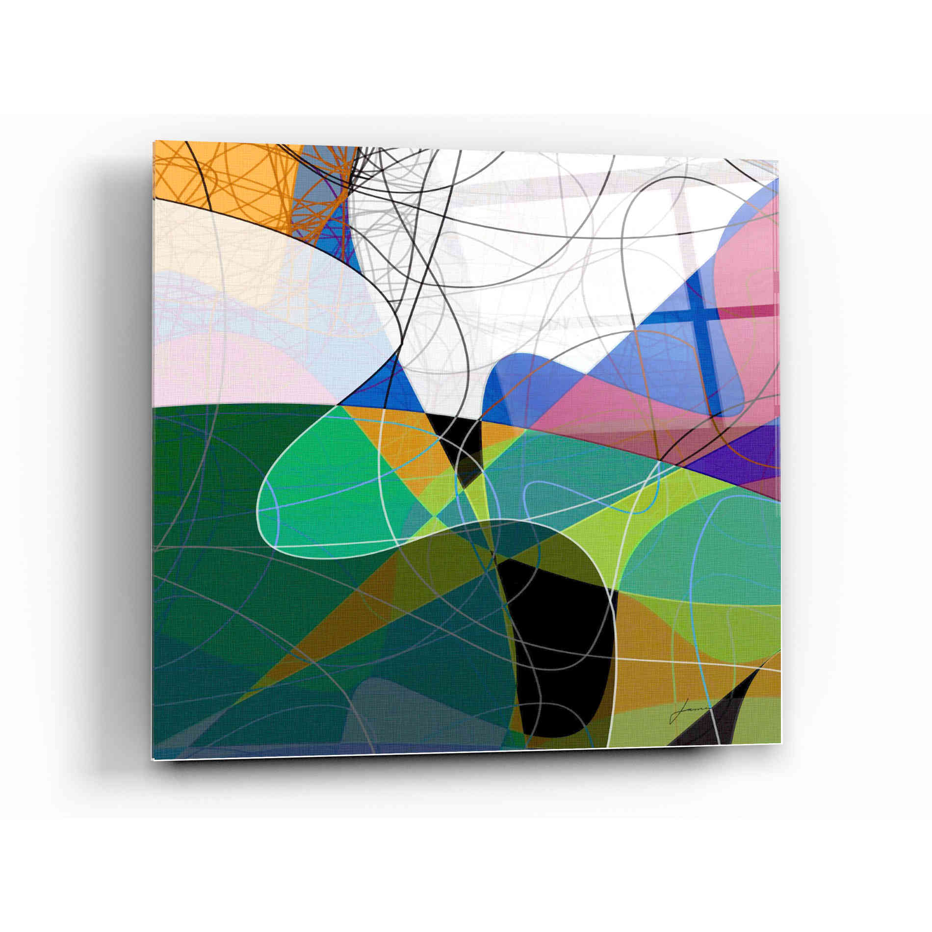 Epic Art 'Entangled I' by James Burghardt, Acrylic Glass Wall Art,12x12