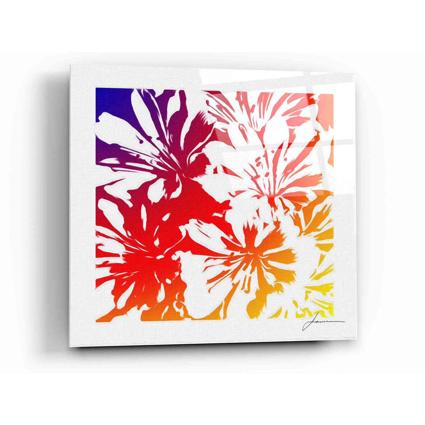 Epic Art 'Floral Brights I' by James Burghardt, Acrylic Glass Wall Art,12x12
