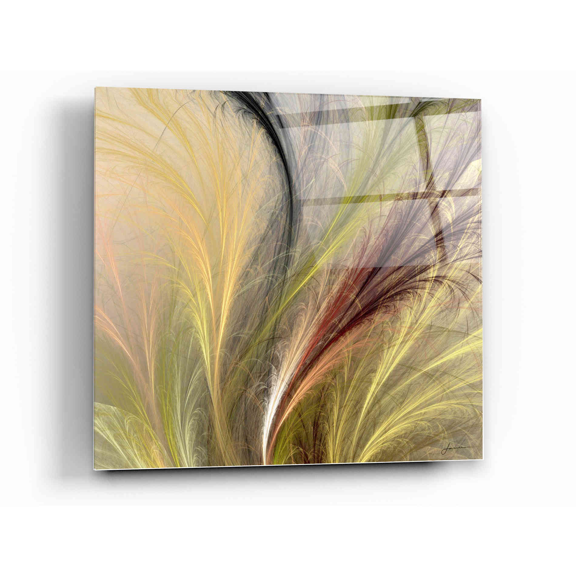 Epic Art 'Fountain Grass I' by James Burghardt, Acrylic Glass Wall Art,12x12