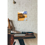 Epic Art 'Tangled II' by James Burghardt, Acrylic Glass Wall Art,12x12