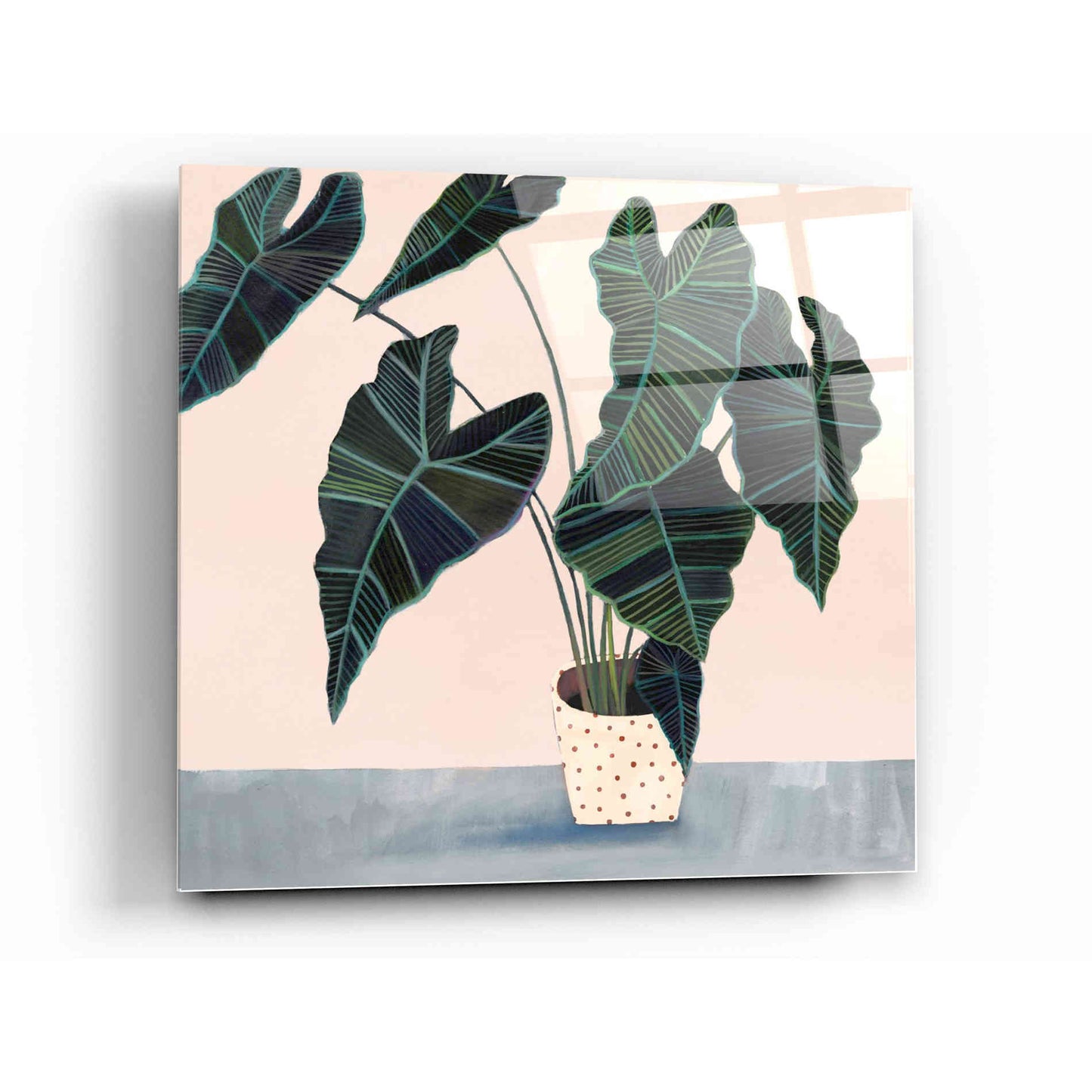 Epic Art 'Houseplant II' by Victoria Borges Acrylic Glass Wall Art,12x12