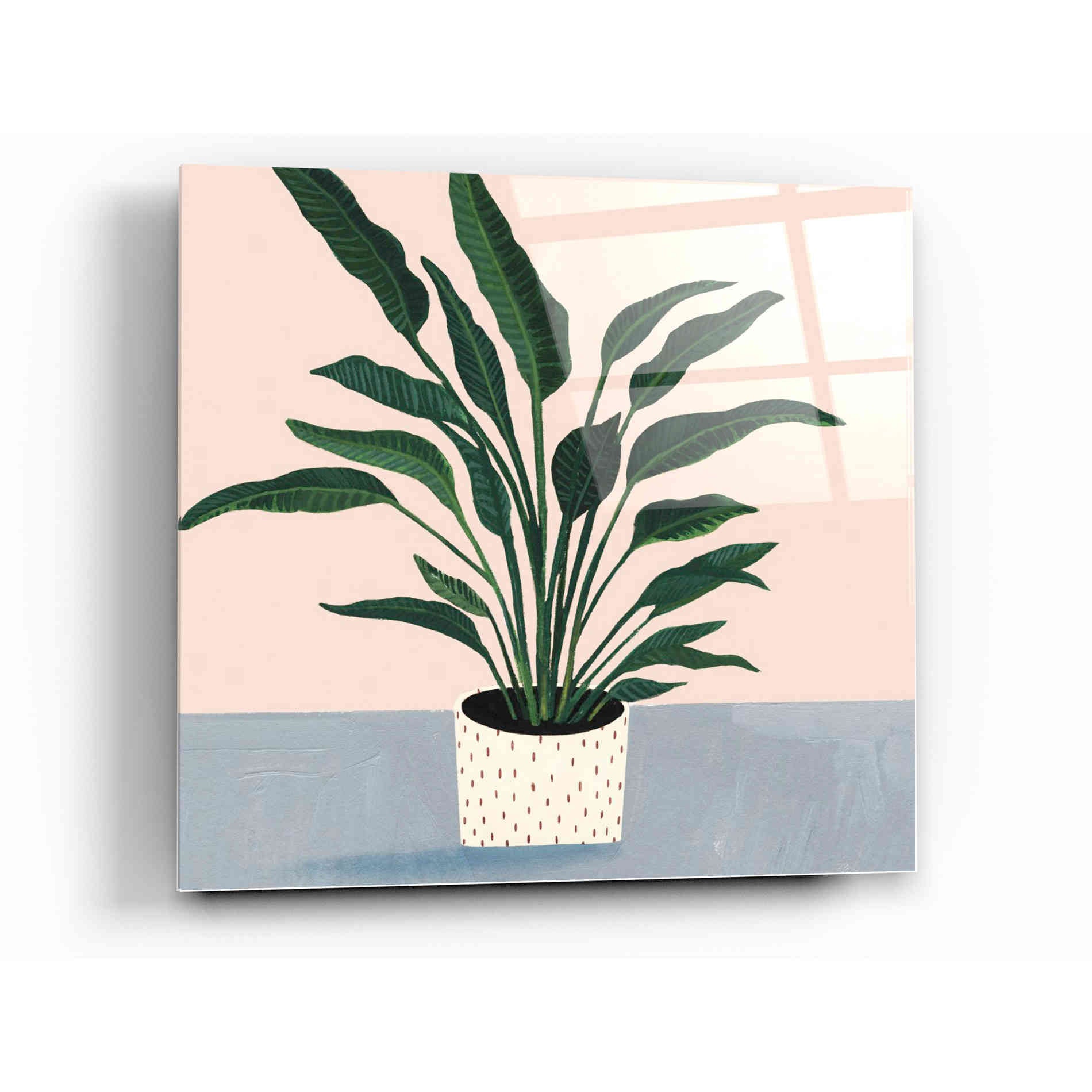 Epic Art 'Houseplant IV' by Victoria Borges Acrylic Glass Wall Art,12x12