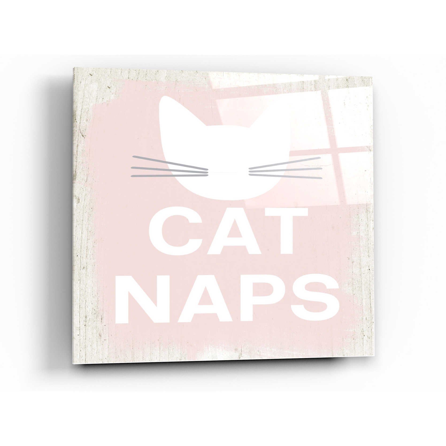 Epic Art 'Cat Naps' by Linda Woods, Acrylic Glass Wall Art,12x12