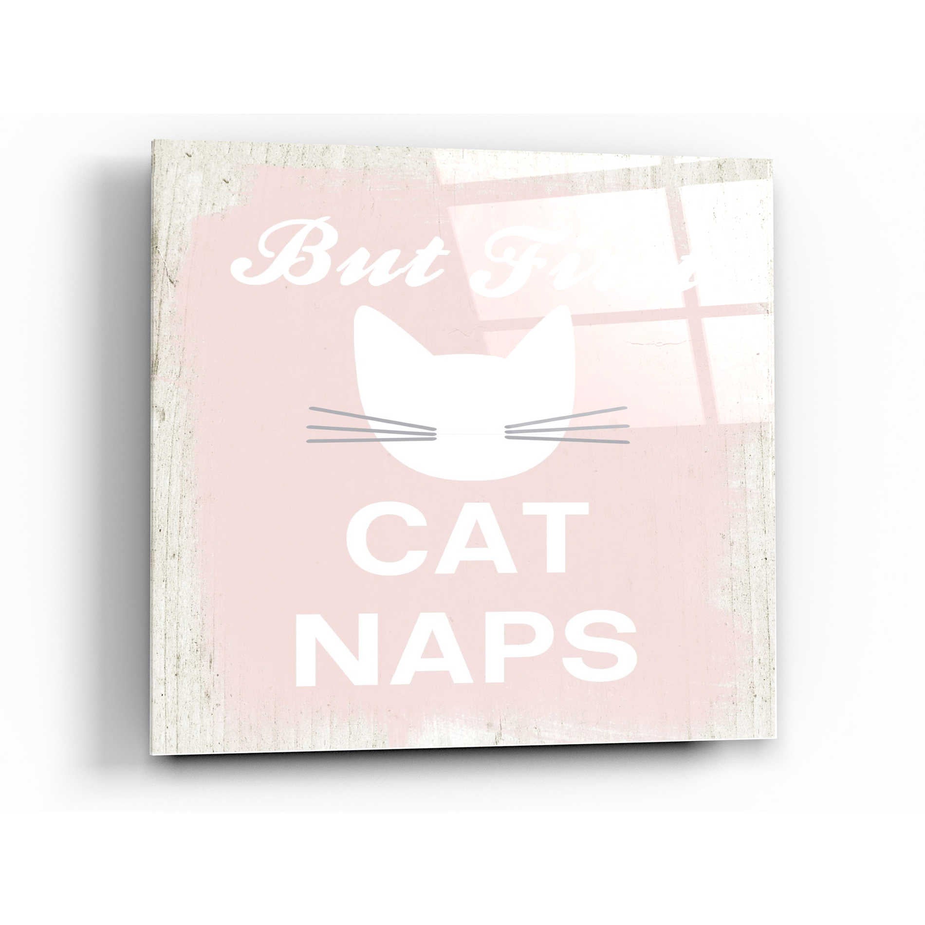 Epic Art 'But First Cat Naps' by Linda Woods, Acrylic Glass Wall Art,12x12
