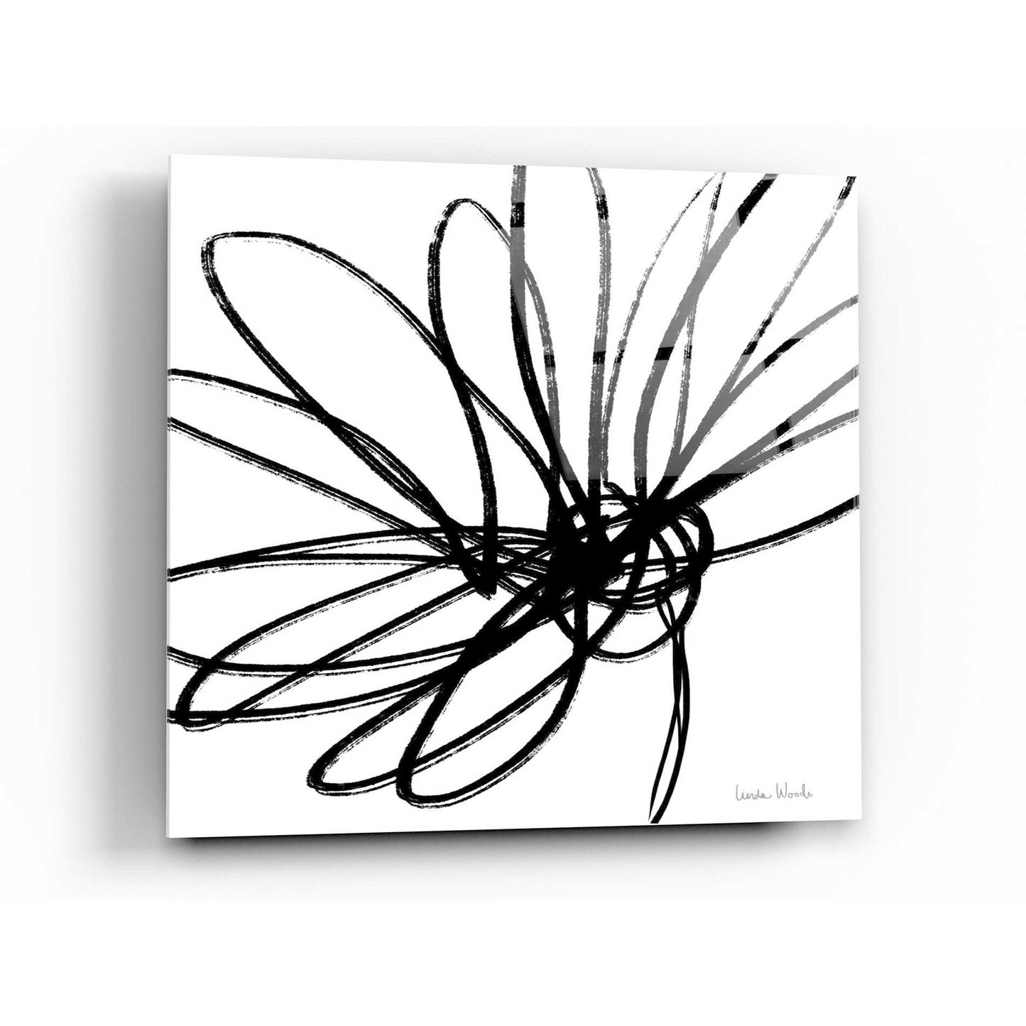 Epic Art 'Black Ink Flower II' by Linda Woods, Acrylic Glass Wall Art,12x12