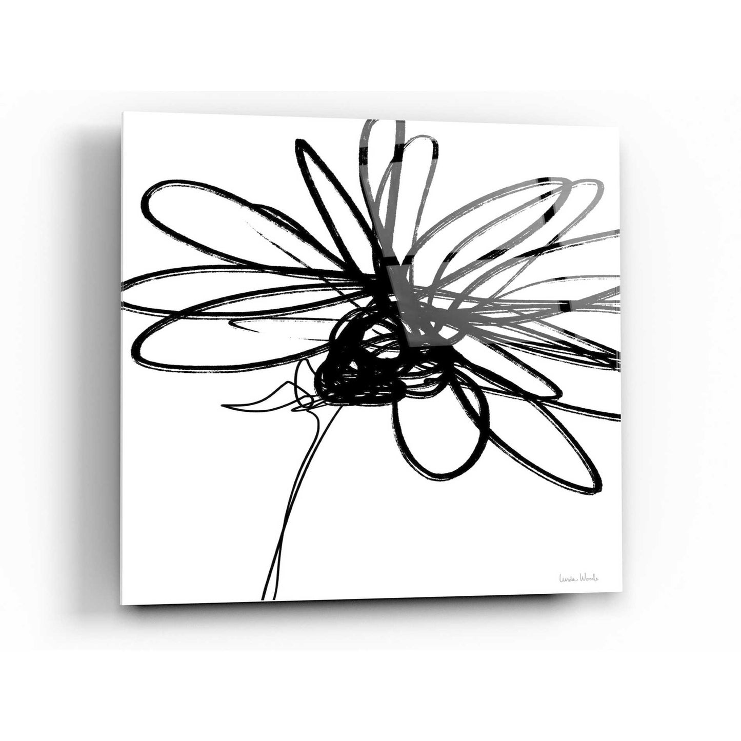 Epic Art 'Black Ink Flower III' by Linda Woods, Acrylic Glass Wall Art,12x12