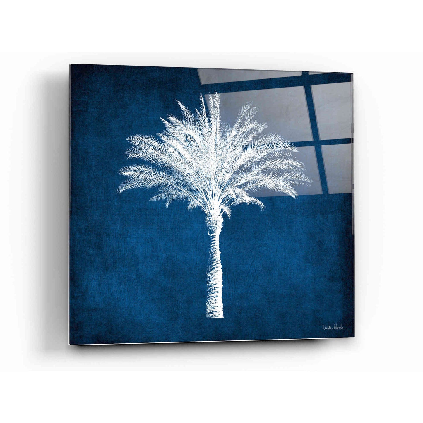 Epic Art 'Single Indigo And White Palm Tree' by Linda Woods, Acrylic Glass Wall Art,12x12