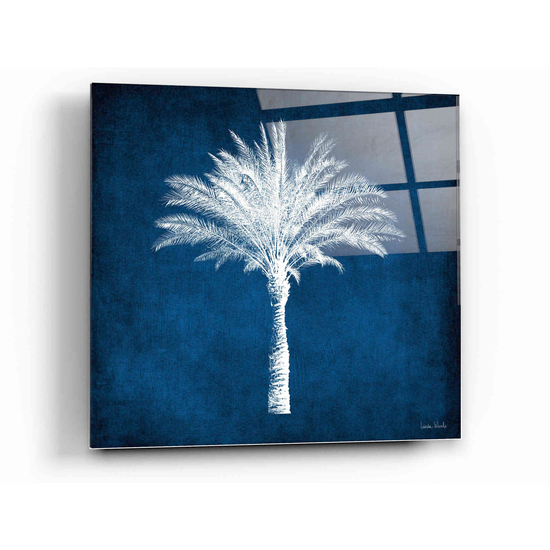 Epic Art 'Single Indigo And White Palm Tree' by Linda Woods, Acrylic Glass Wall Art,12x12