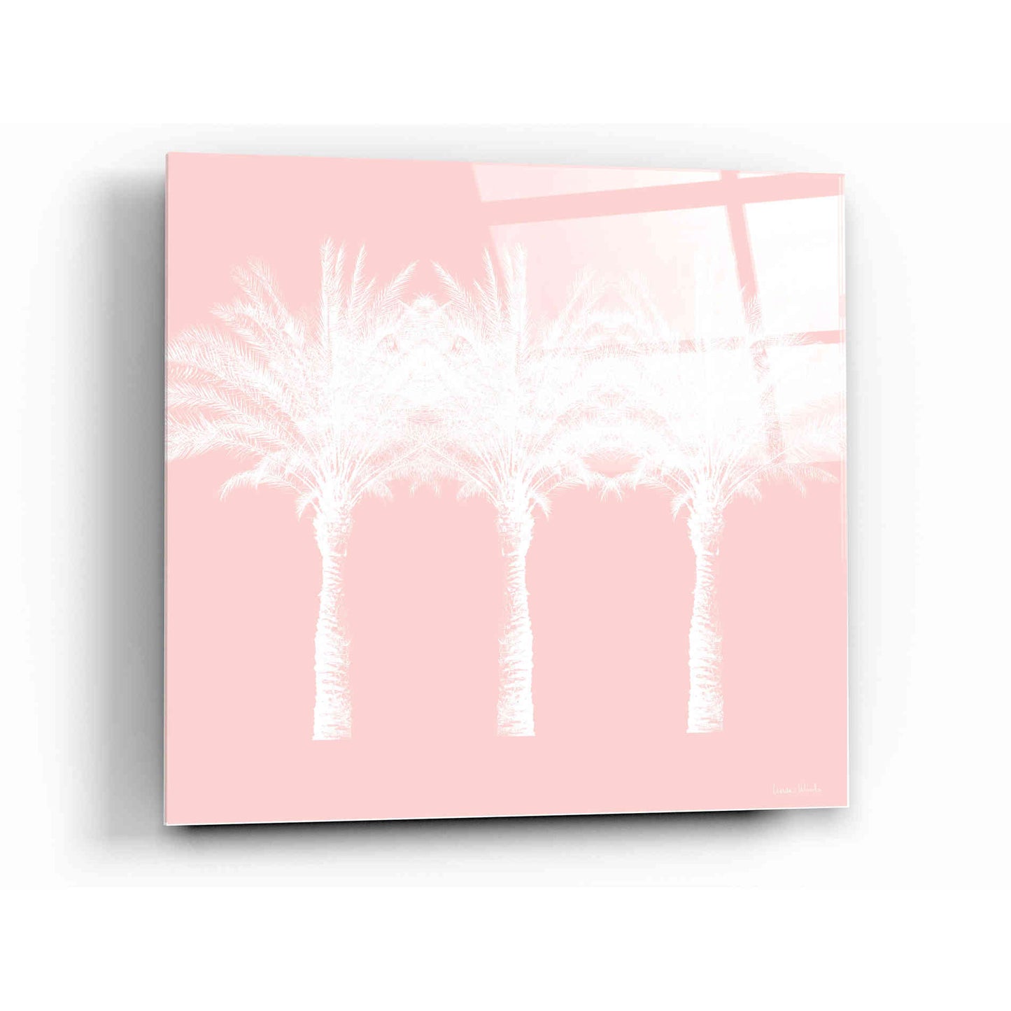 Epic Art 'White And Pink Palm Trees' by Linda Woods, Acrylic Glass Wall Art,12x12