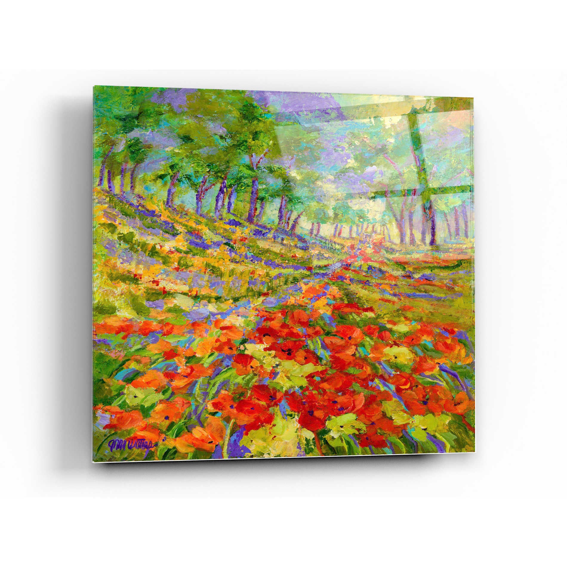 Epic Art 'Poppies Galore' by Anne Waters, Acrylic Glass Wall Art,12x12