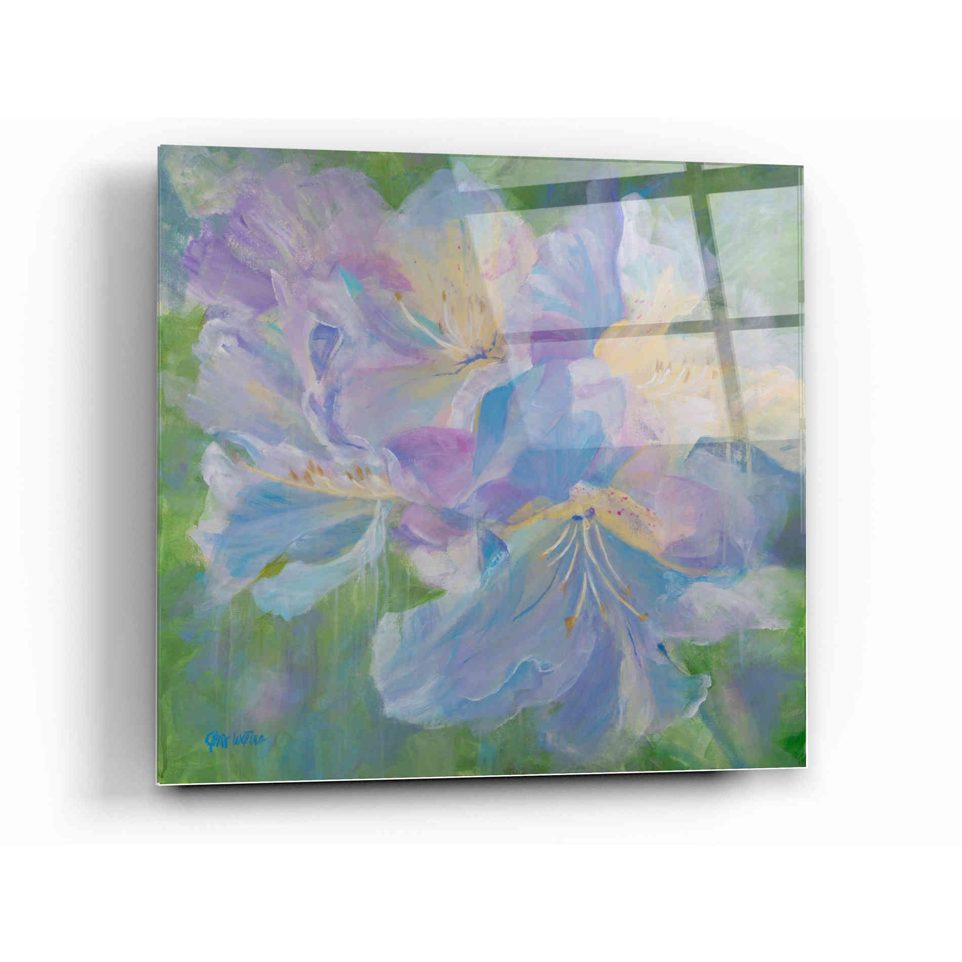 Epic Art 'Radiant Rhododendron' by Anne Waters, Acrylic Glass Wall Art,12x12