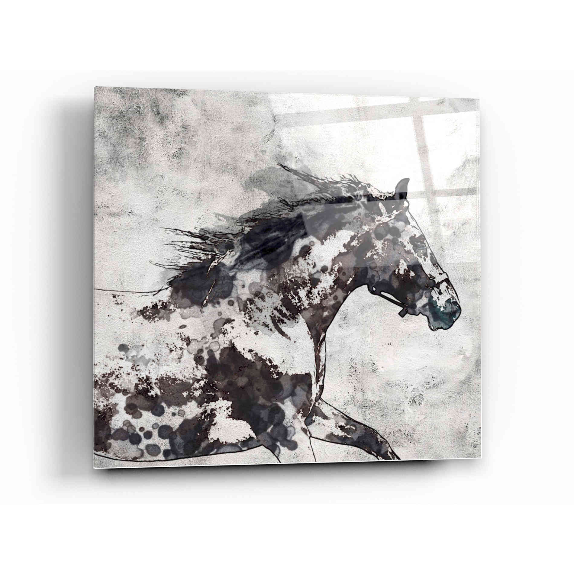 Epic Art 'Bay Horse 4' by Irena Orlov, Acrylic Glass Wall Art,12x12