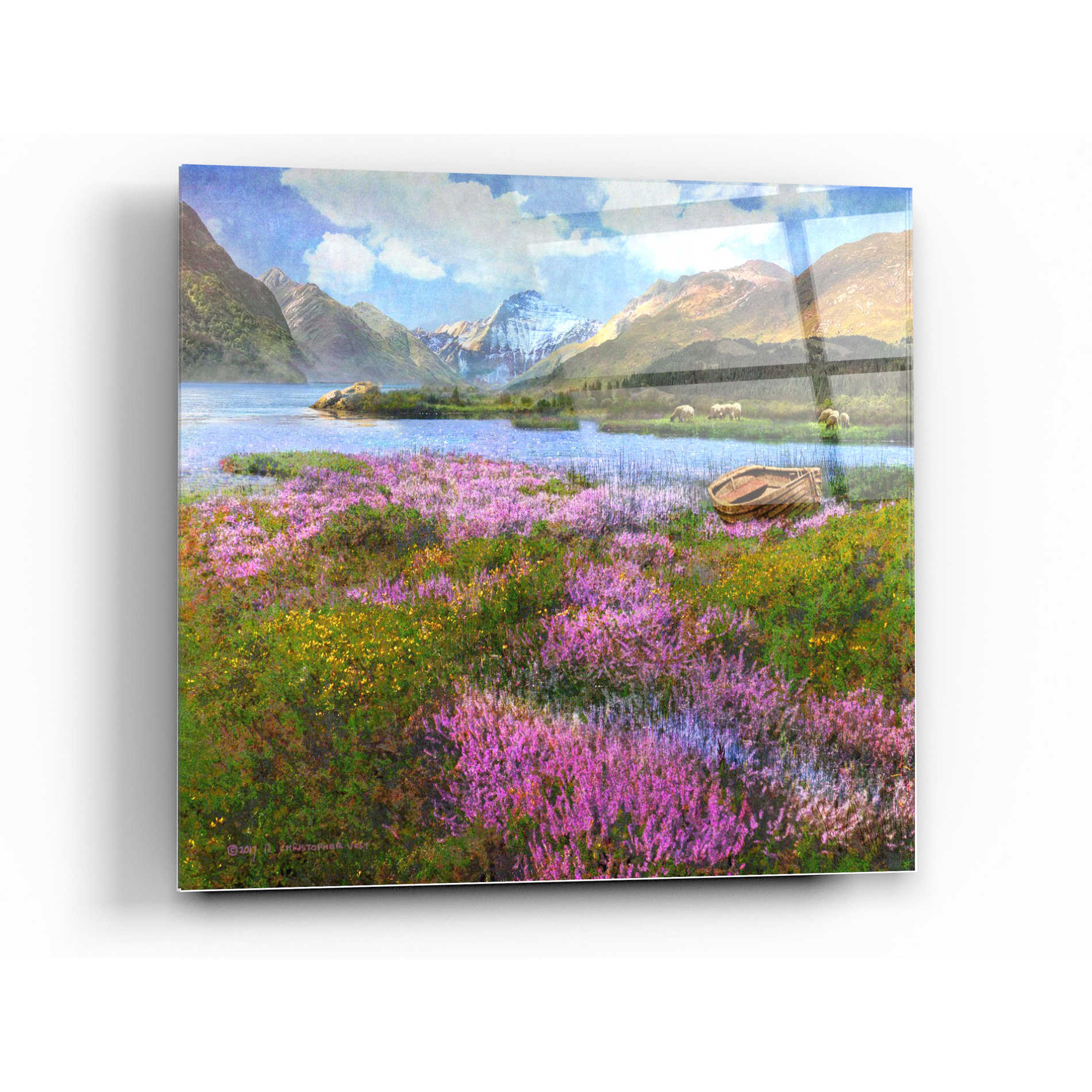 Epic Art 'Heather Scotland' by Chris Vest, Acrylic Glass Wall Art,12x12