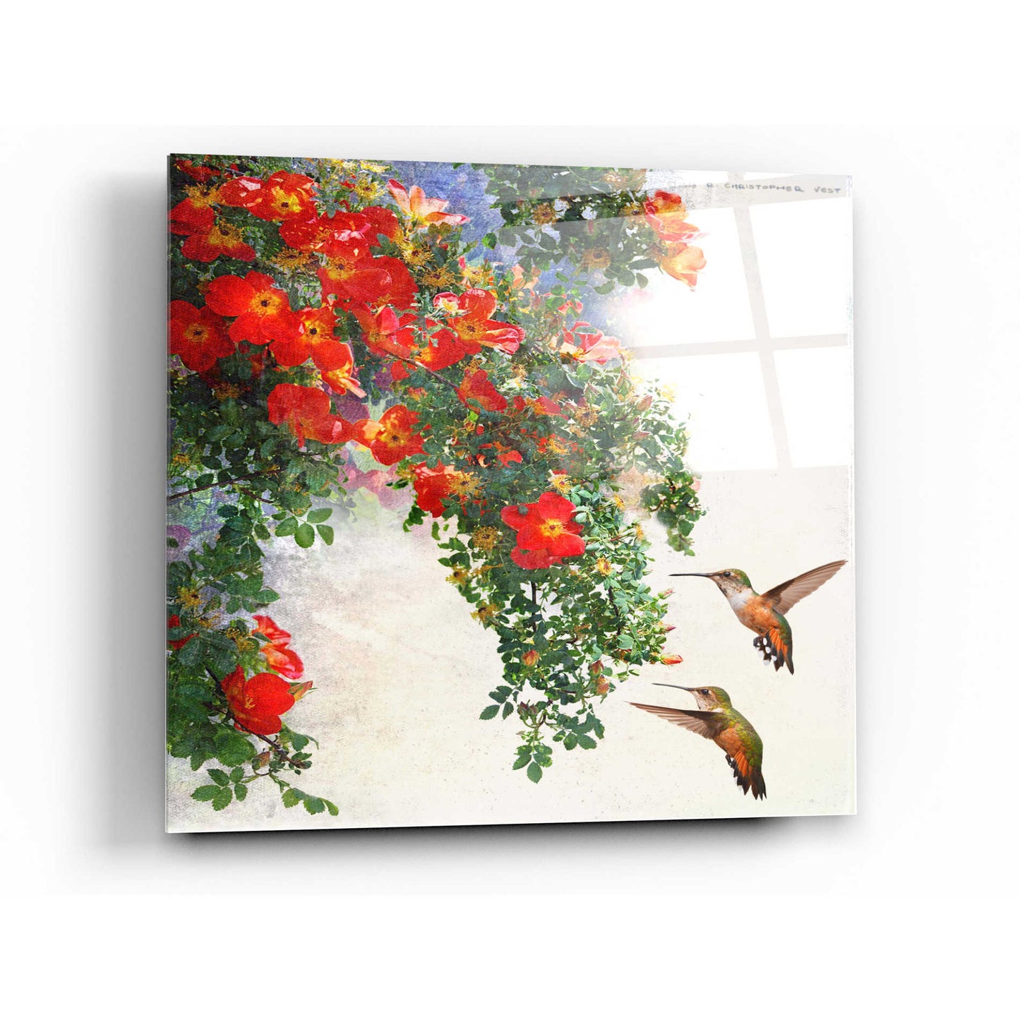 Epic Art 'Hanging Red Roses and Hummers' by Chris Vest, Acrylic Glass Wall Art,12x12