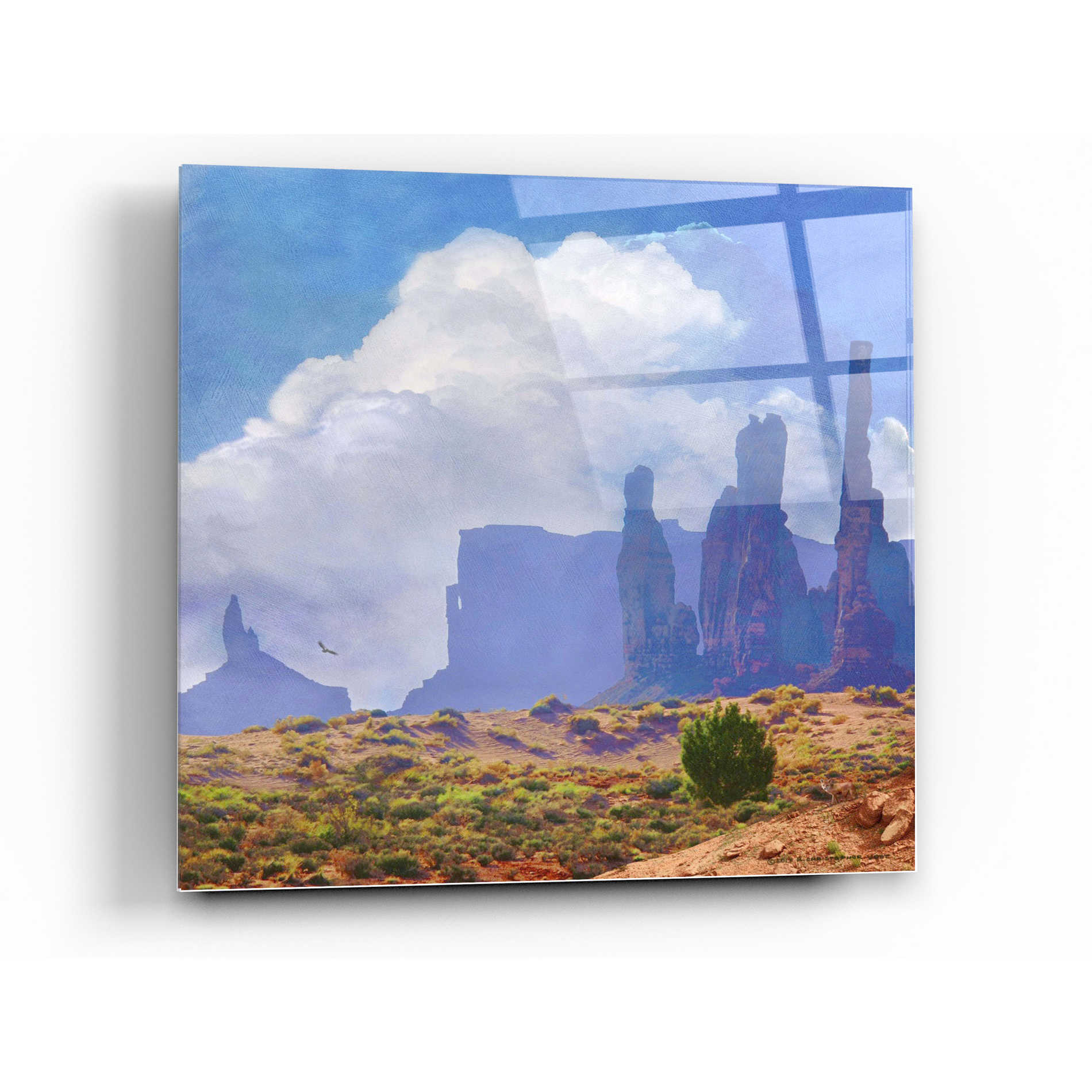 Epic Art 'Desertscape' by Chris Vest, Acrylic Glass Wall Art,12x12
