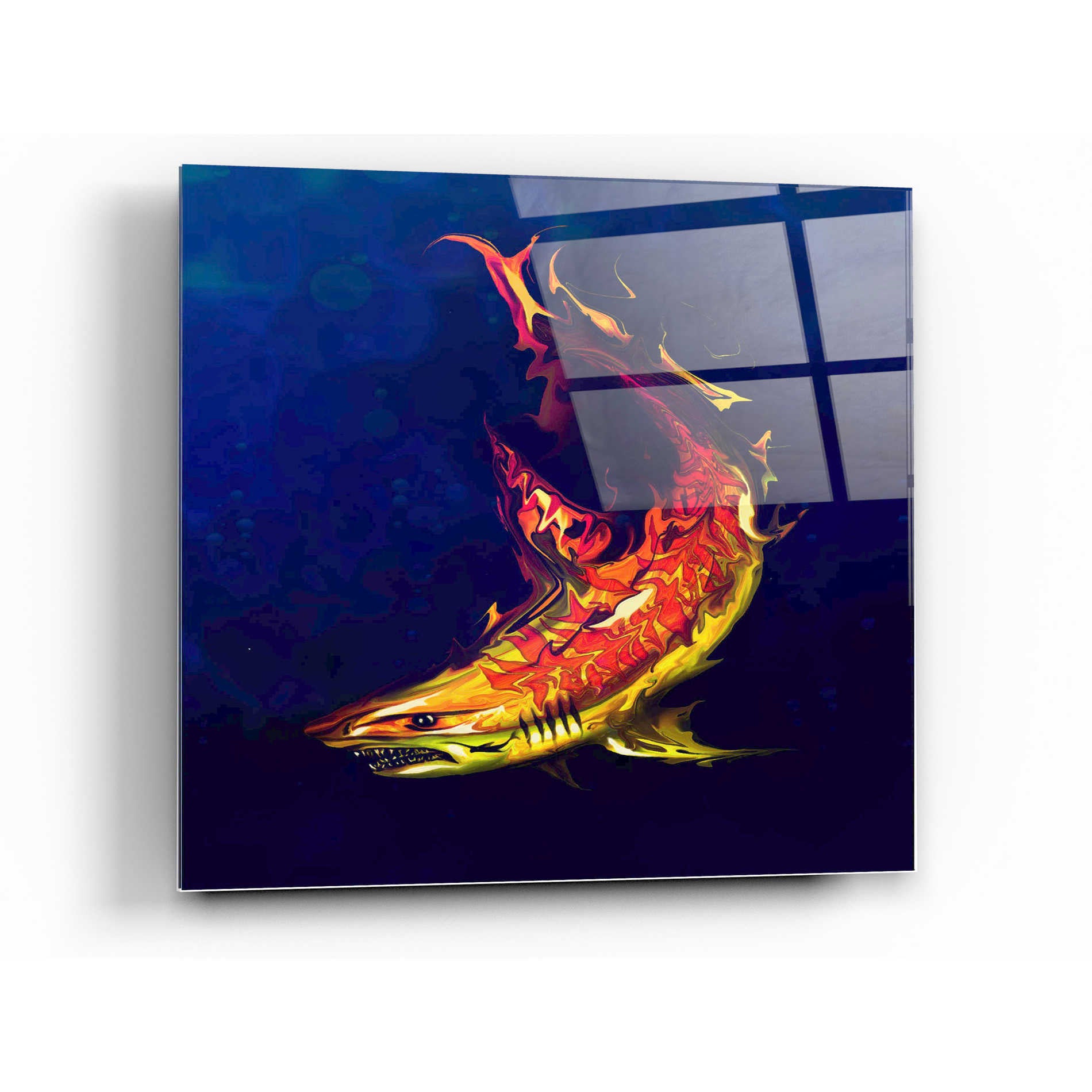 Epic Art 'Tiger Shark' by Michael Stewart, Acrylic Glass Wall Art,12x12