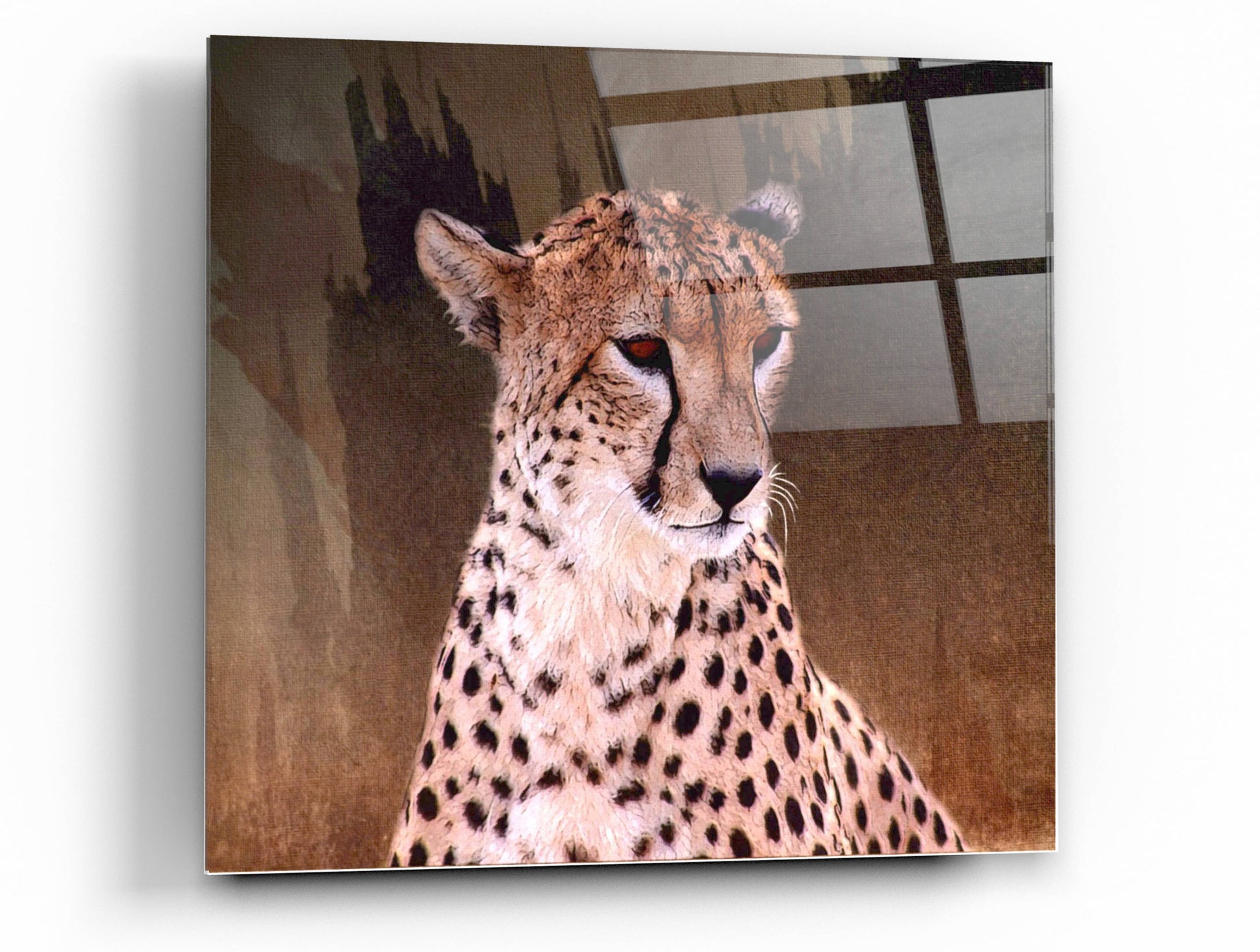 Epic Art 'Wildness Cheetah' by Karen Smith, Acrylic Glass Wall Art,12x12