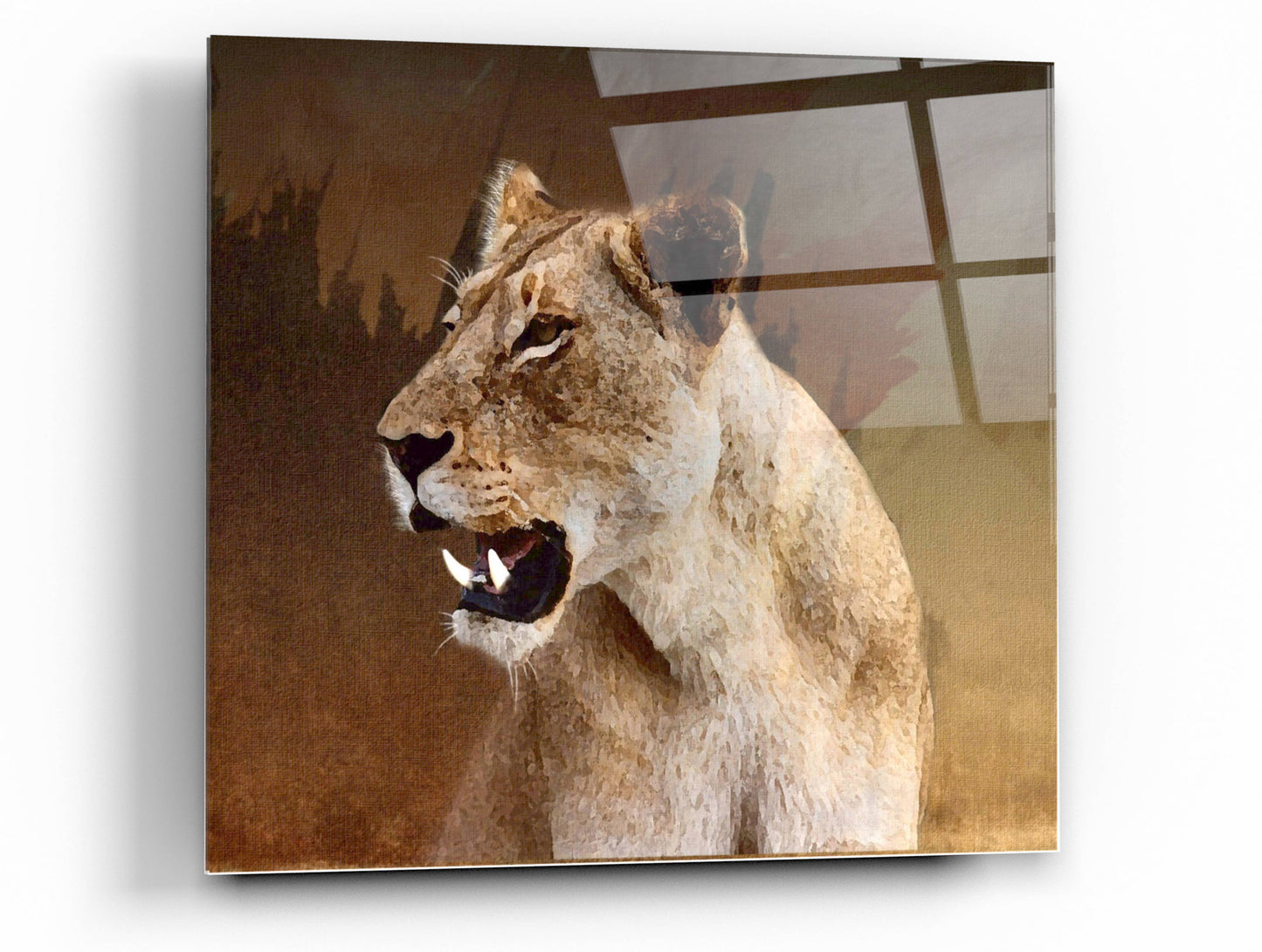 Epic Art 'Wildness Lioness' by Karen Smith, Acrylic Glass Wall Art,12x12
