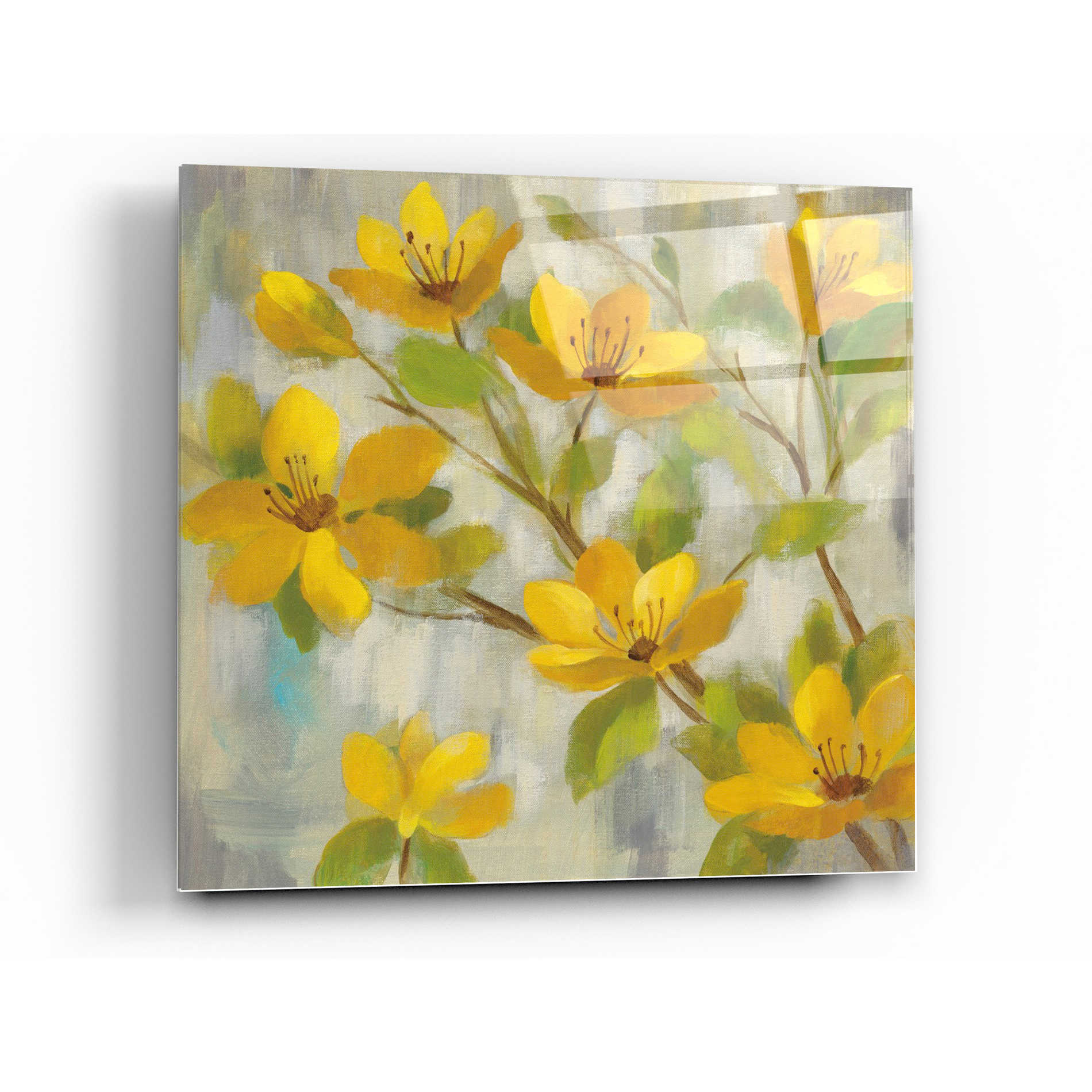 Epic Art 'Golden Bloom I' by Silvia Vassileva, Acrylic Glass Wall Art,12x12