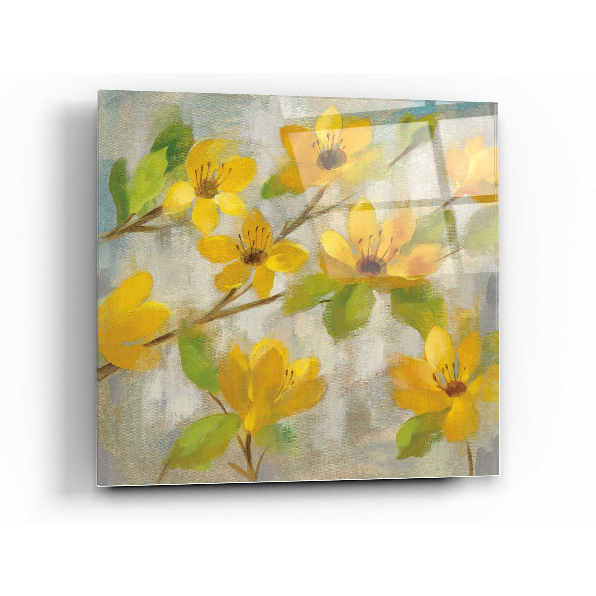 Epic Art 'Golden Bloom II' by Silvia Vassileva, Acrylic Glass Wall Art,12x12