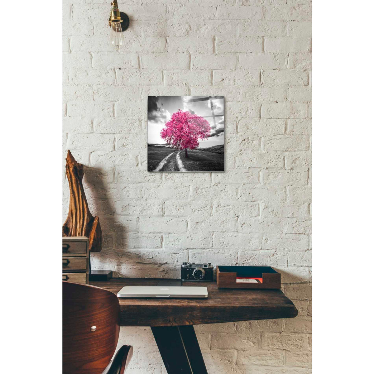 Epic Art 'Vibrant Tree Series: Magenta' Acrylic Glass Wall Art,12x12